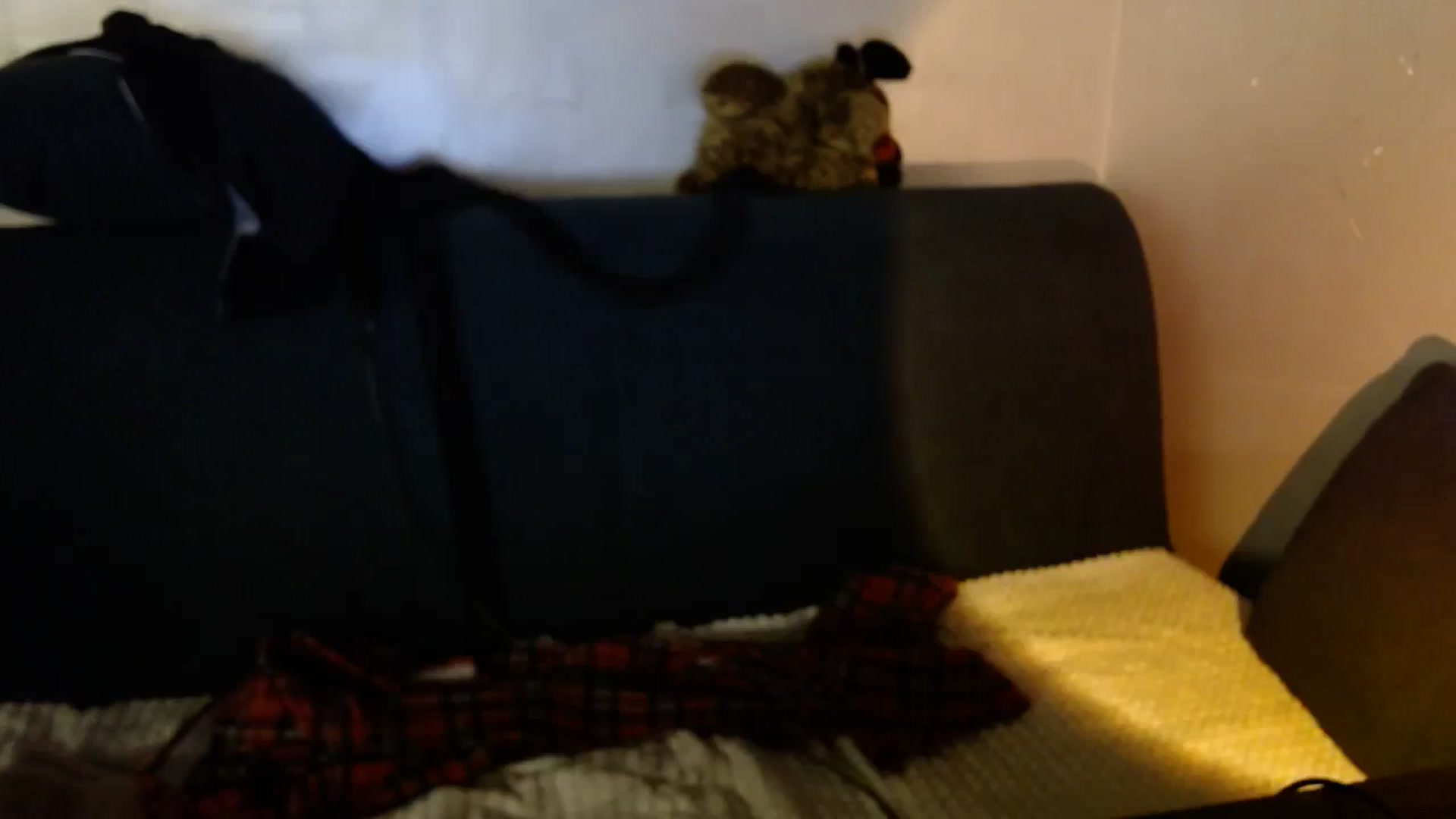 Gallery image thumbnail from Monika_lucci's myfreecams stream on, 10/19/2024, 18:06 image 13 of 20