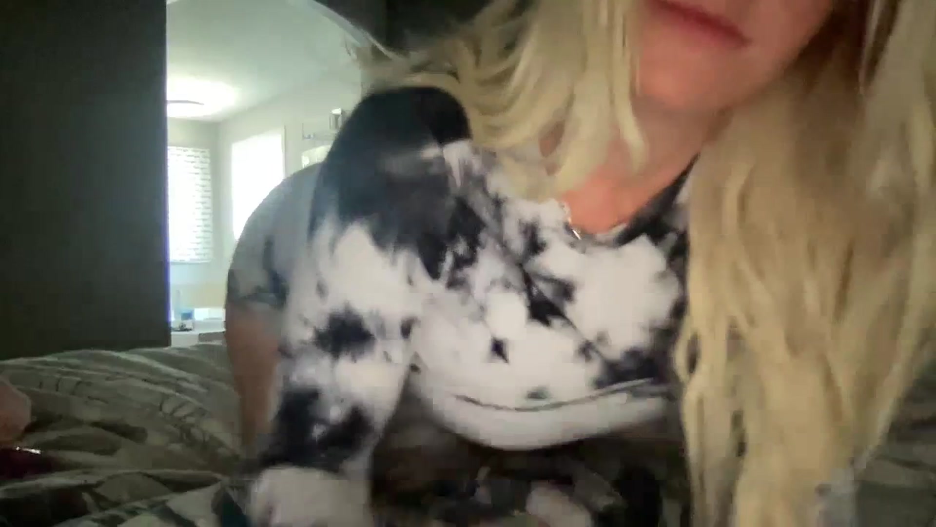 Gallery image thumbnail from MonroeLee's myfreecams stream on, 06/30/2023, 16:50 image 11 of 20
