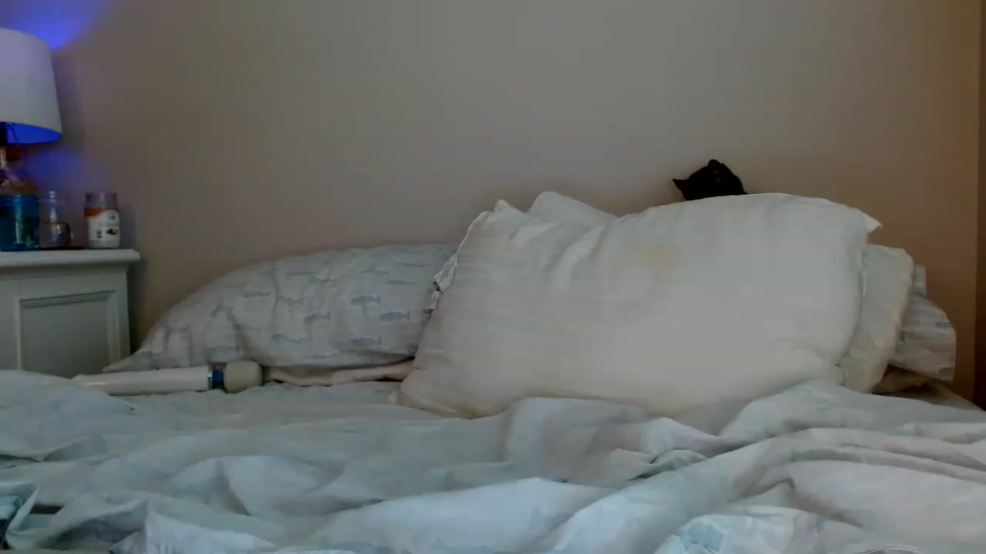 Gallery image thumbnail from Montyfoxx69's myfreecams stream on, 12/12/2022, 23:14 image 16 of 20