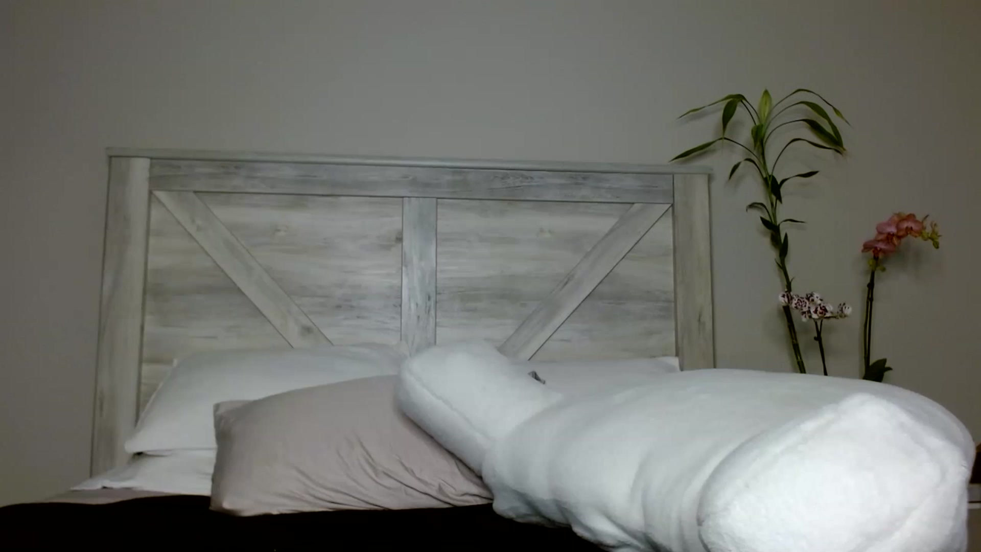 Gallery image thumbnail from Montyfoxx69's myfreecams stream on, 04/26/2023, 02:51 image 1 of 20