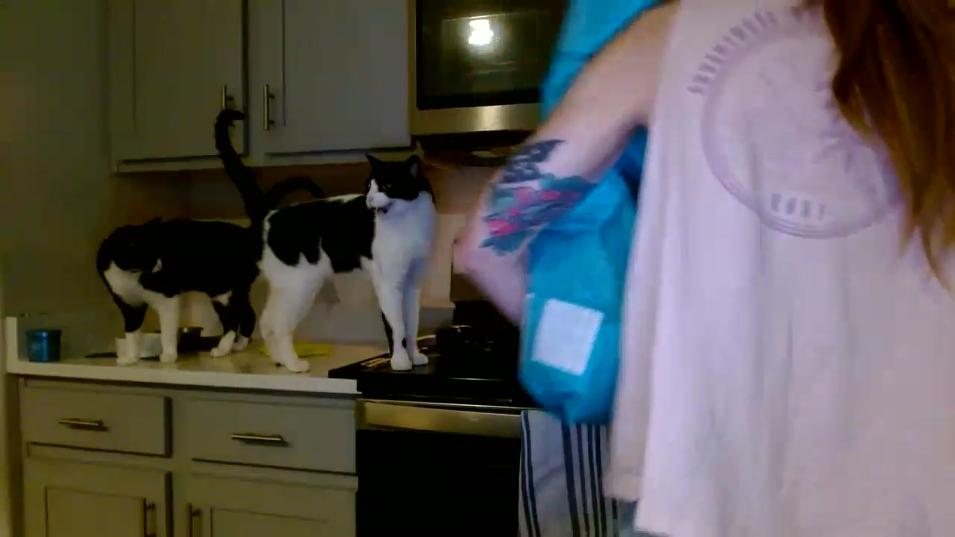 Gallery image thumbnail from Montyfoxx69's myfreecams stream on, 05/15/2023, 02:48 image 14 of 20