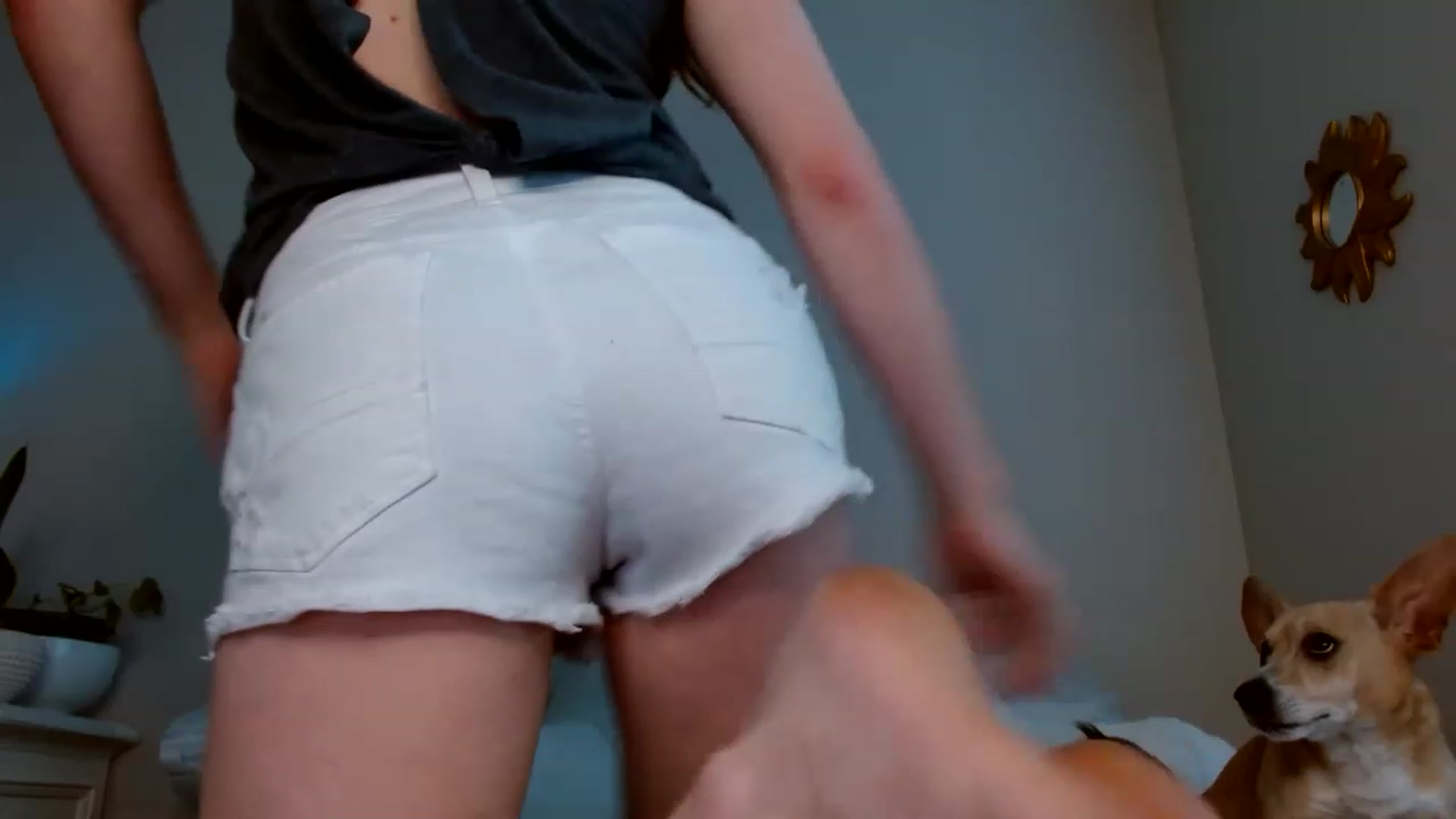 Gallery image thumbnail from Montyfoxx69's myfreecams stream on, 05/29/2023, 02:10 image 6 of 20