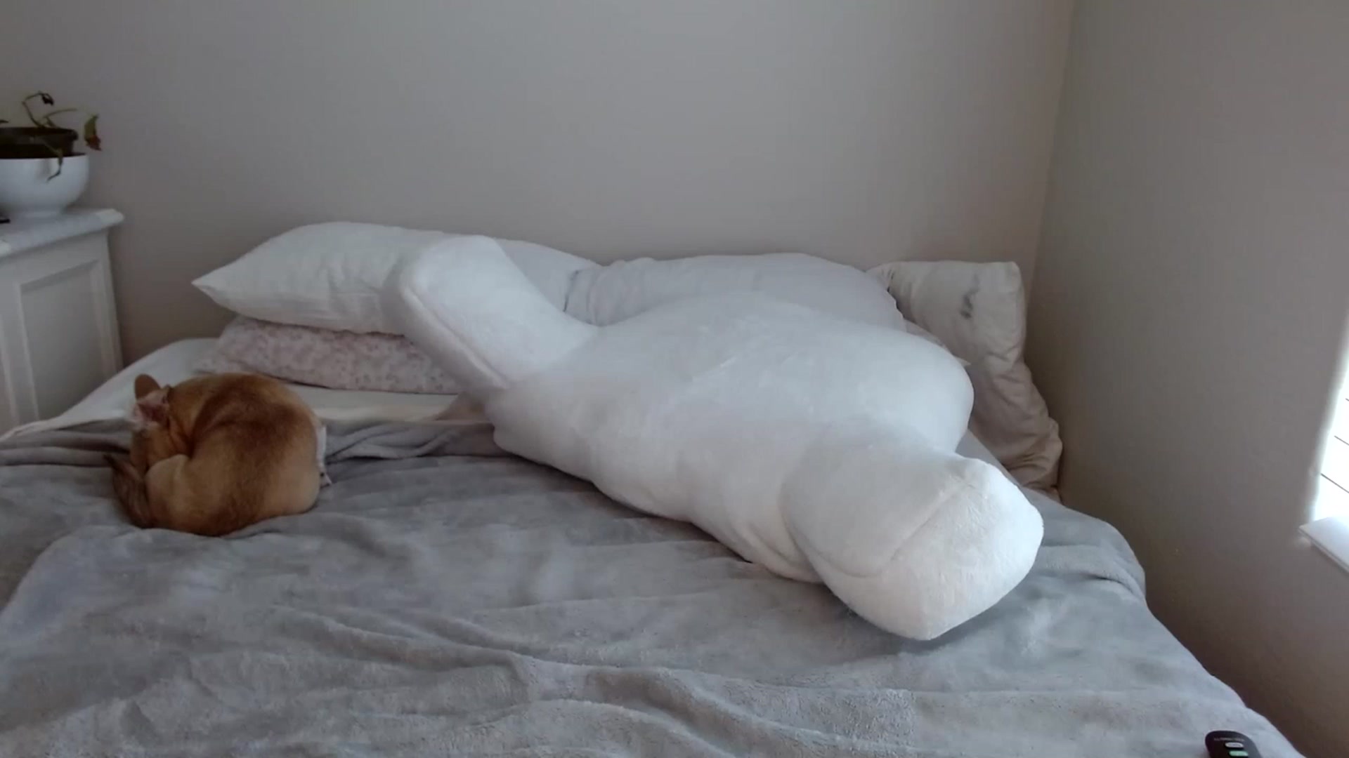 Gallery image thumbnail from Montyfoxx69's myfreecams stream on, 06/18/2023, 18:40 image 17 of 20