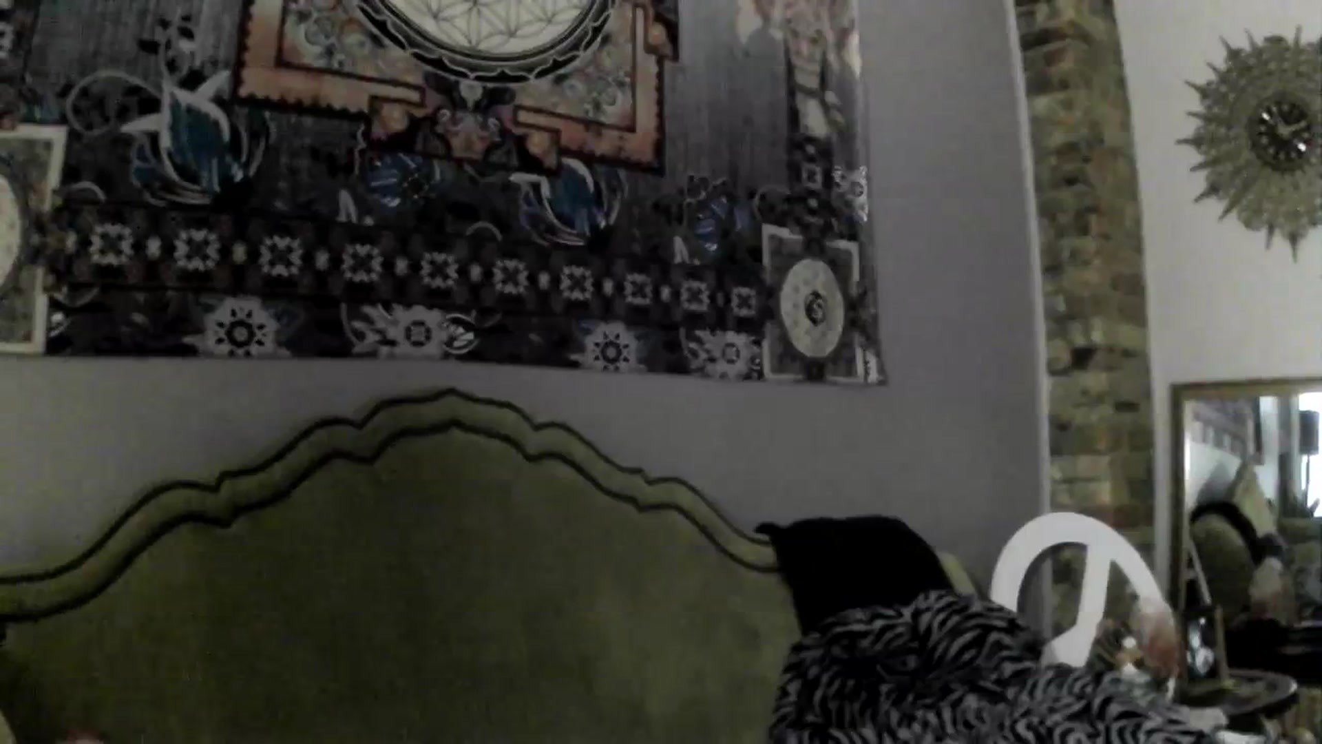 Gallery image thumbnail from MoonAmore's myfreecams stream on, 03/25/2024, 01:40 image 8 of 20