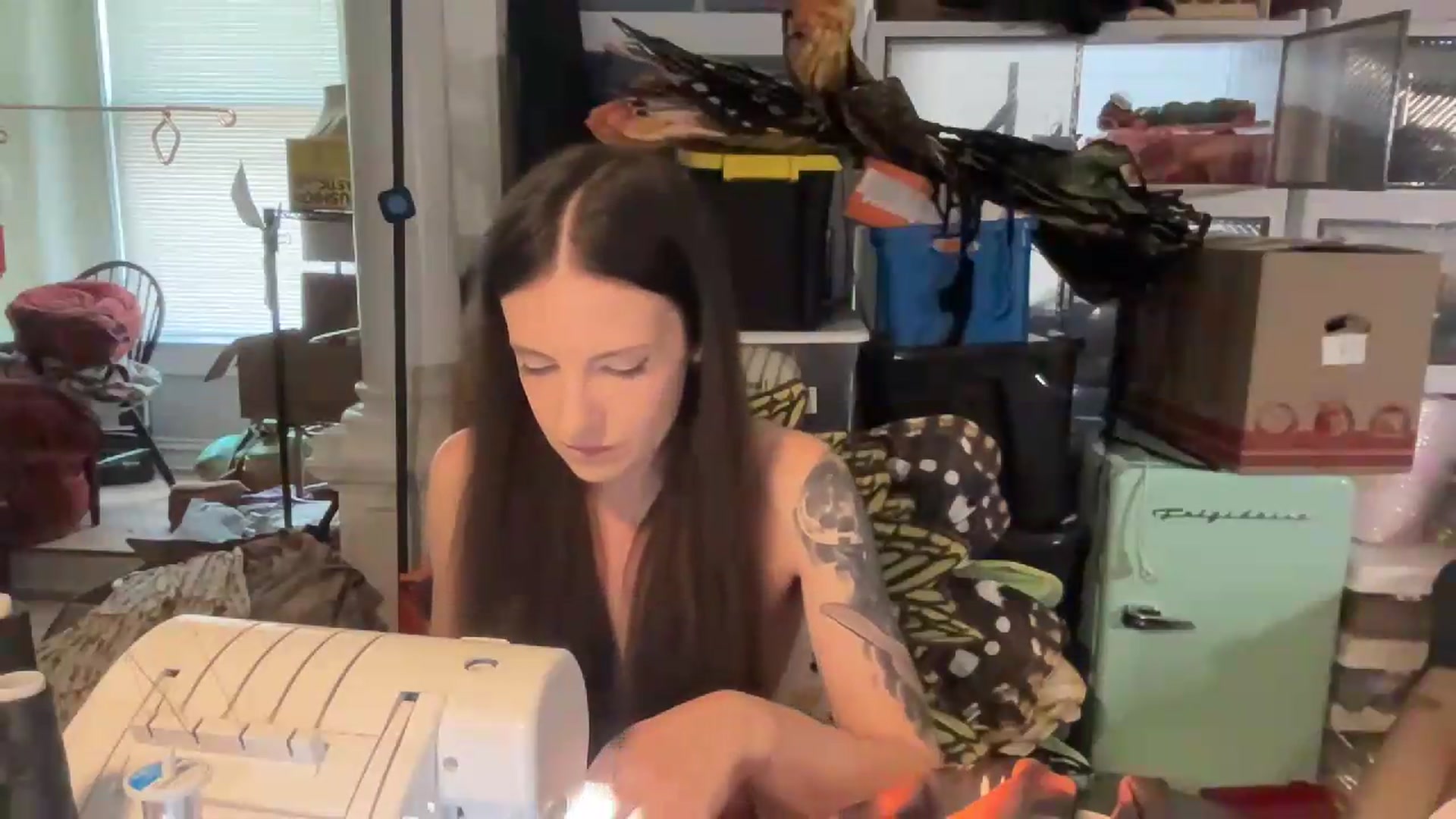 Gallery image thumbnail from MoonMILF's myfreecams stream on, 08/09/2026, 16:37 image 11 of 20