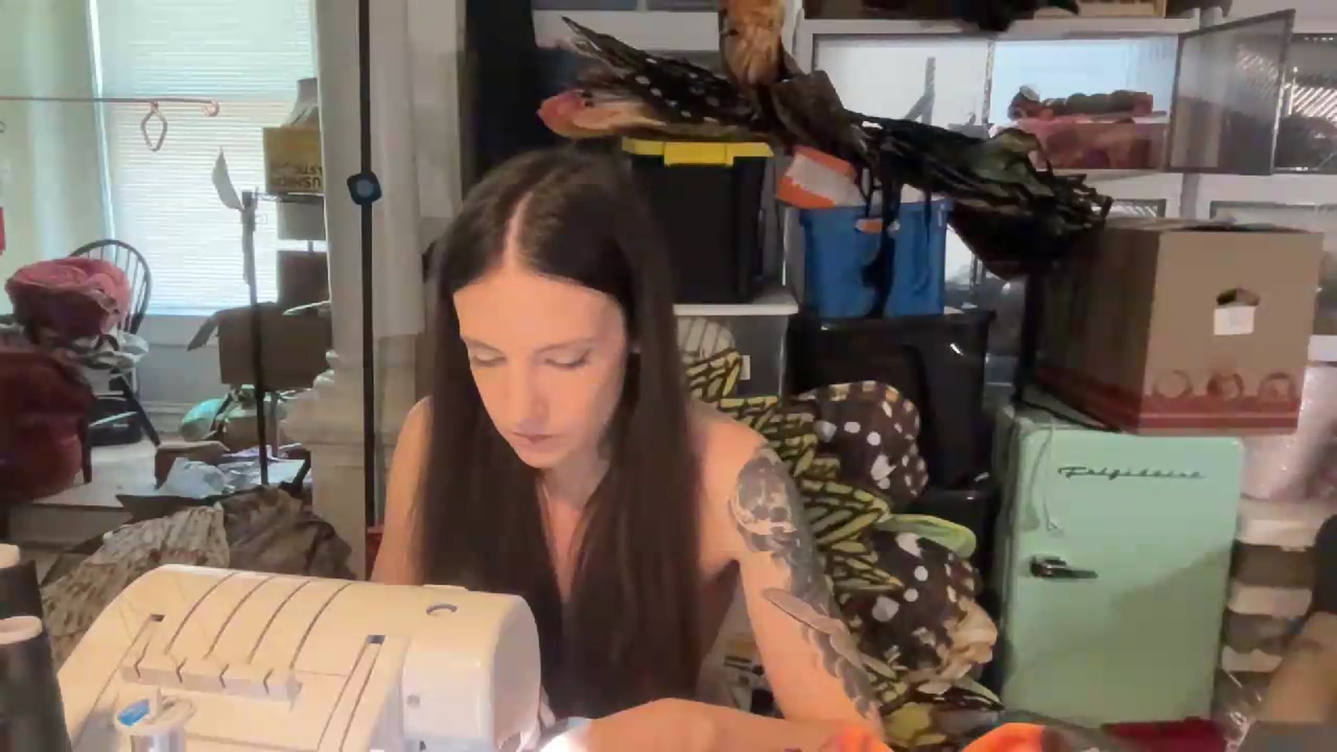 Gallery image thumbnail from MoonMILF's myfreecams stream on, 08/09/2026, 16:37 image 16 of 20