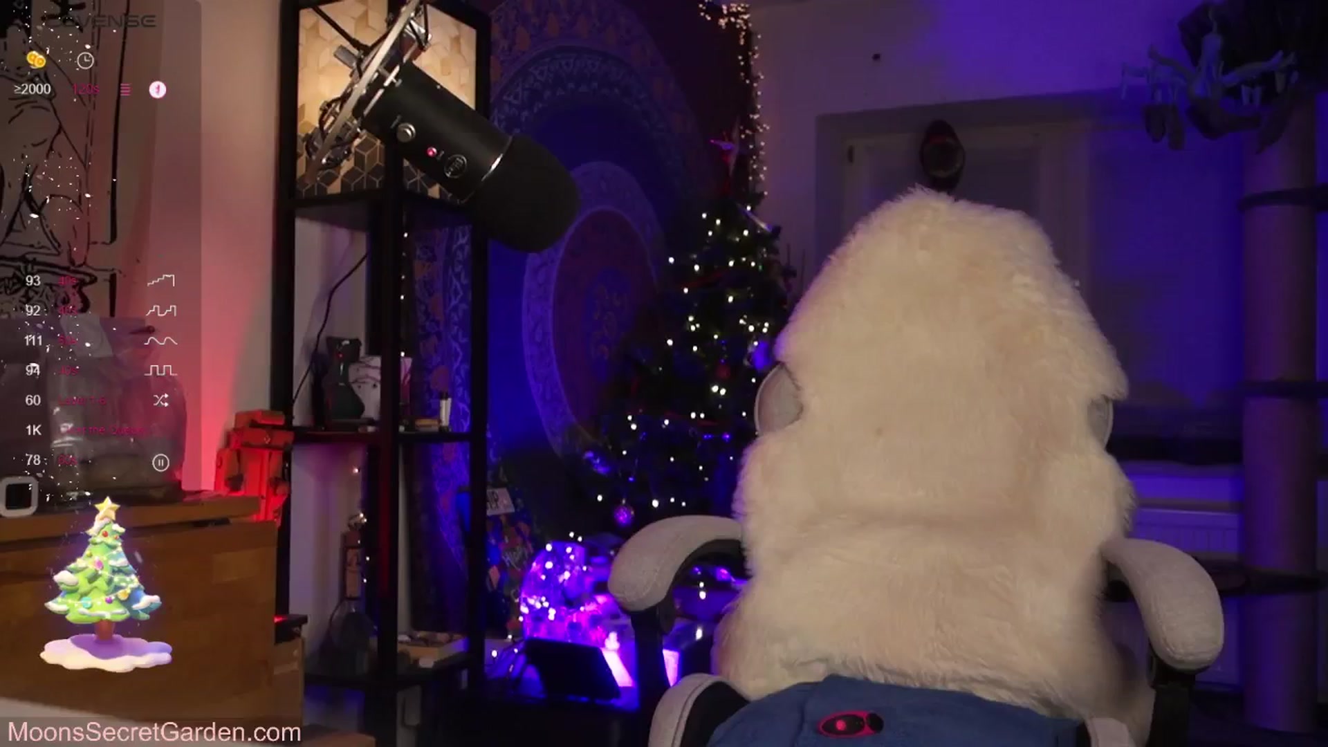 Gallery image thumbnail from Moon_nymph_'s myfreecams stream on, 12/24/2024, 21:06 image 2 of 20