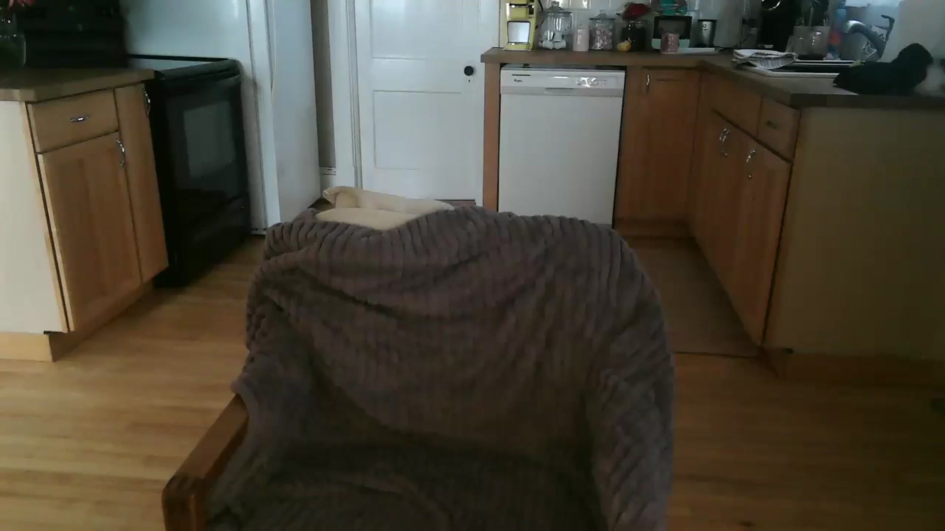 Gallery image thumbnail from Morningwakeup's myfreecams stream on, 02/18/2025, 16:01 image 9 of 20