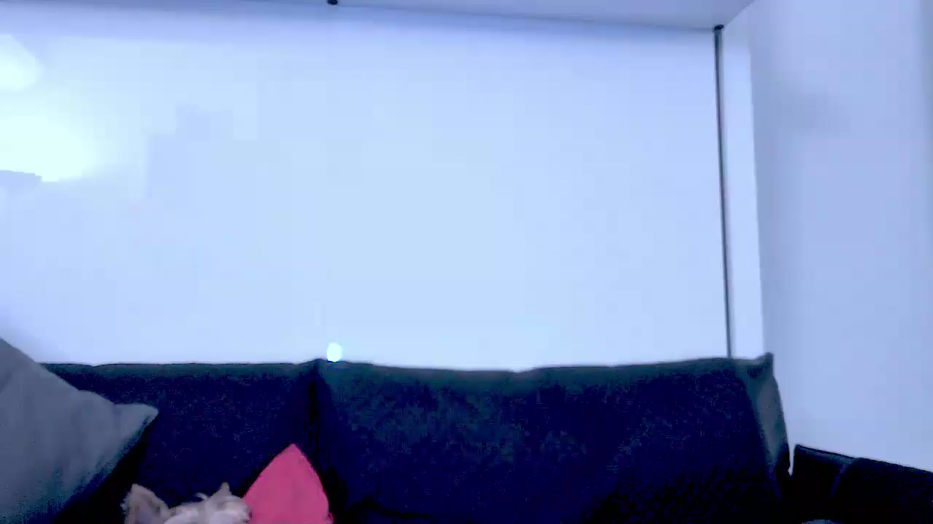 Gallery image thumbnail from Mrsfoxy's myfreecams stream on, 09/18/2025, 15:07 image 11 of 20