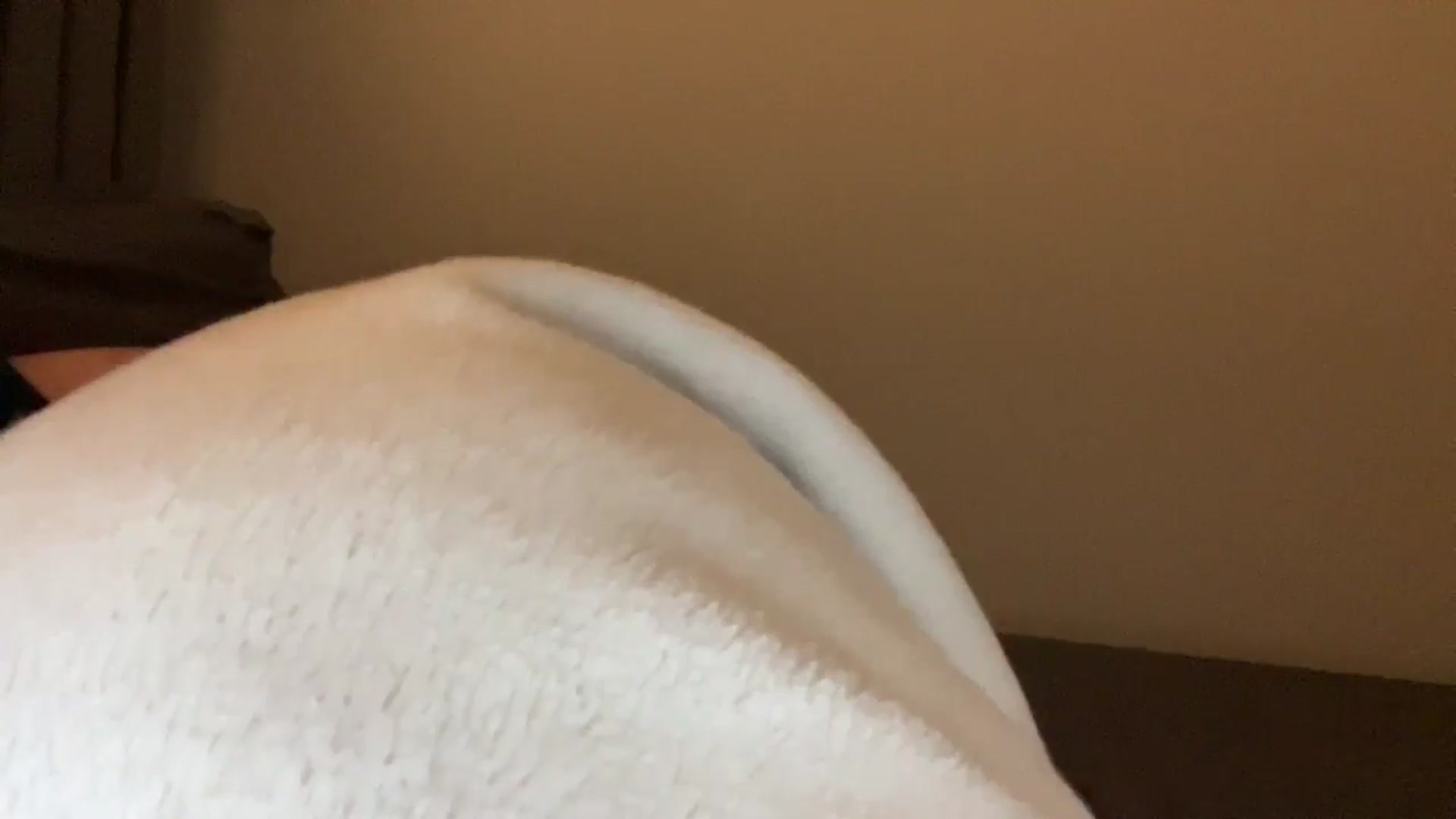 Gallery image thumbnail from MsAkira's myfreecams stream on, 08/17/2024, 04:49 image 7 of 20
