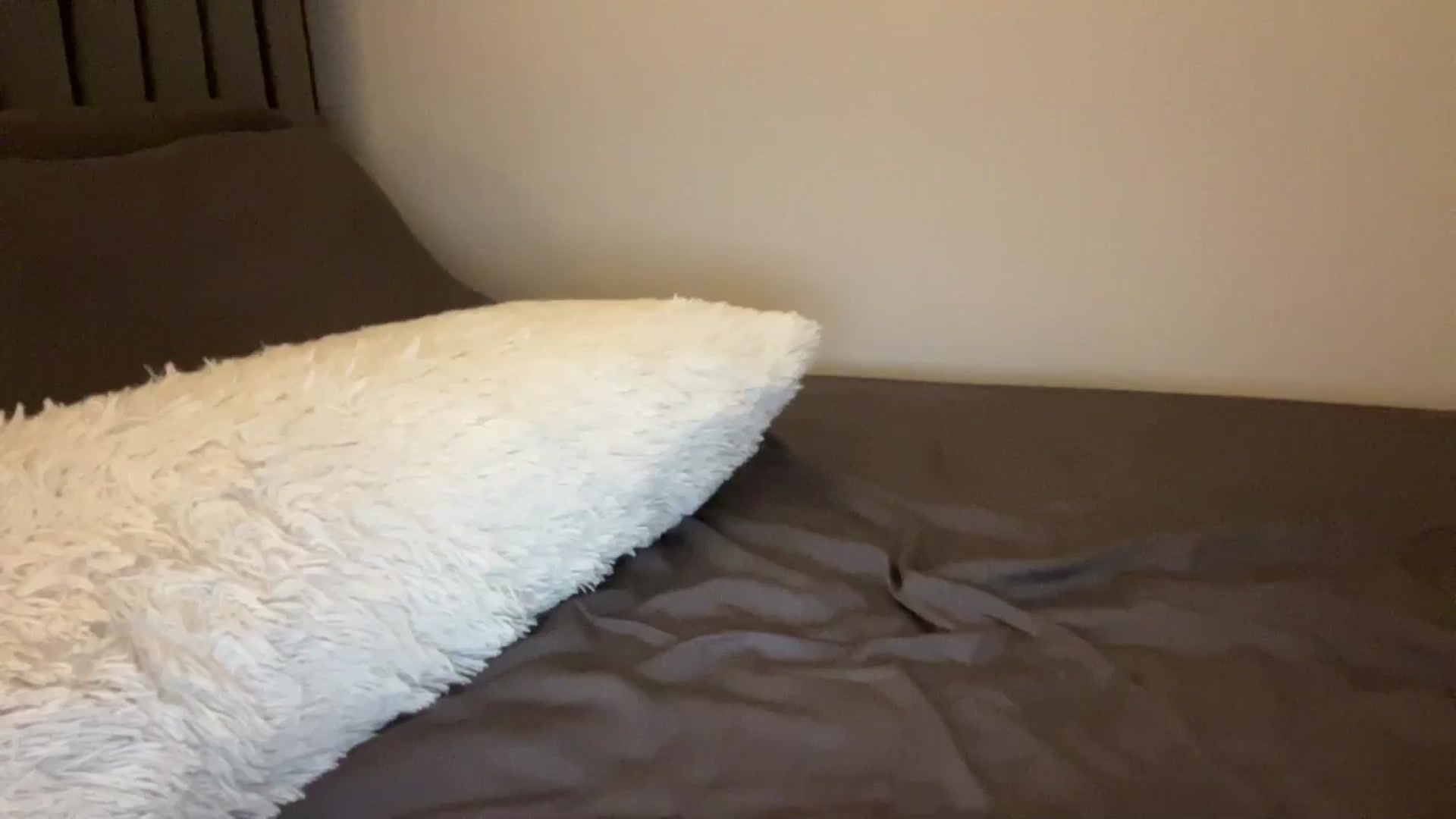 Gallery image thumbnail from MsAkira's myfreecams stream on, 08/21/2024, 03:27 image 5 of 20