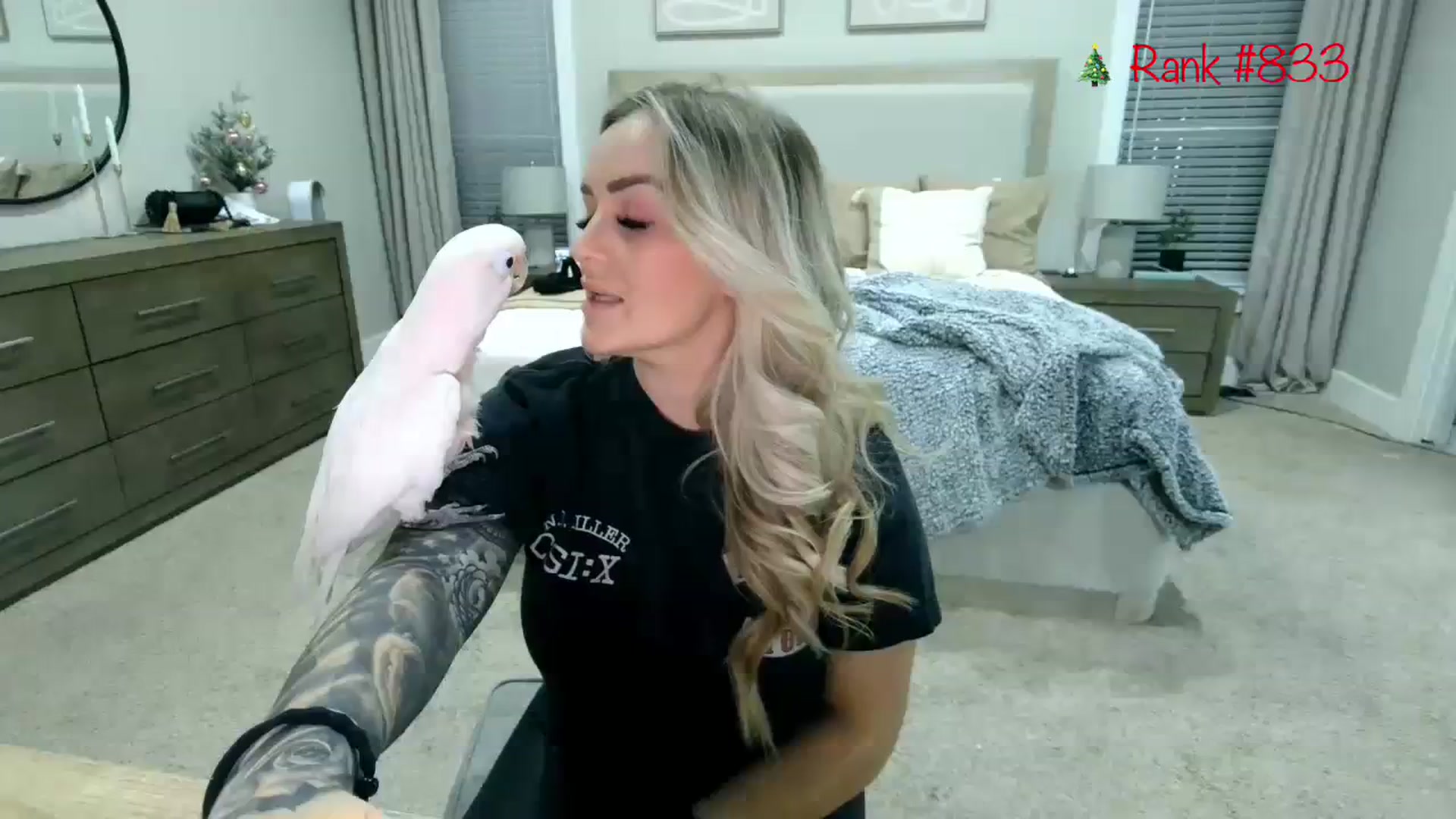 Gallery image thumbnail from MsCheeks's myfreecams stream on, 12/07/2023, 01:01 image 1 of 20