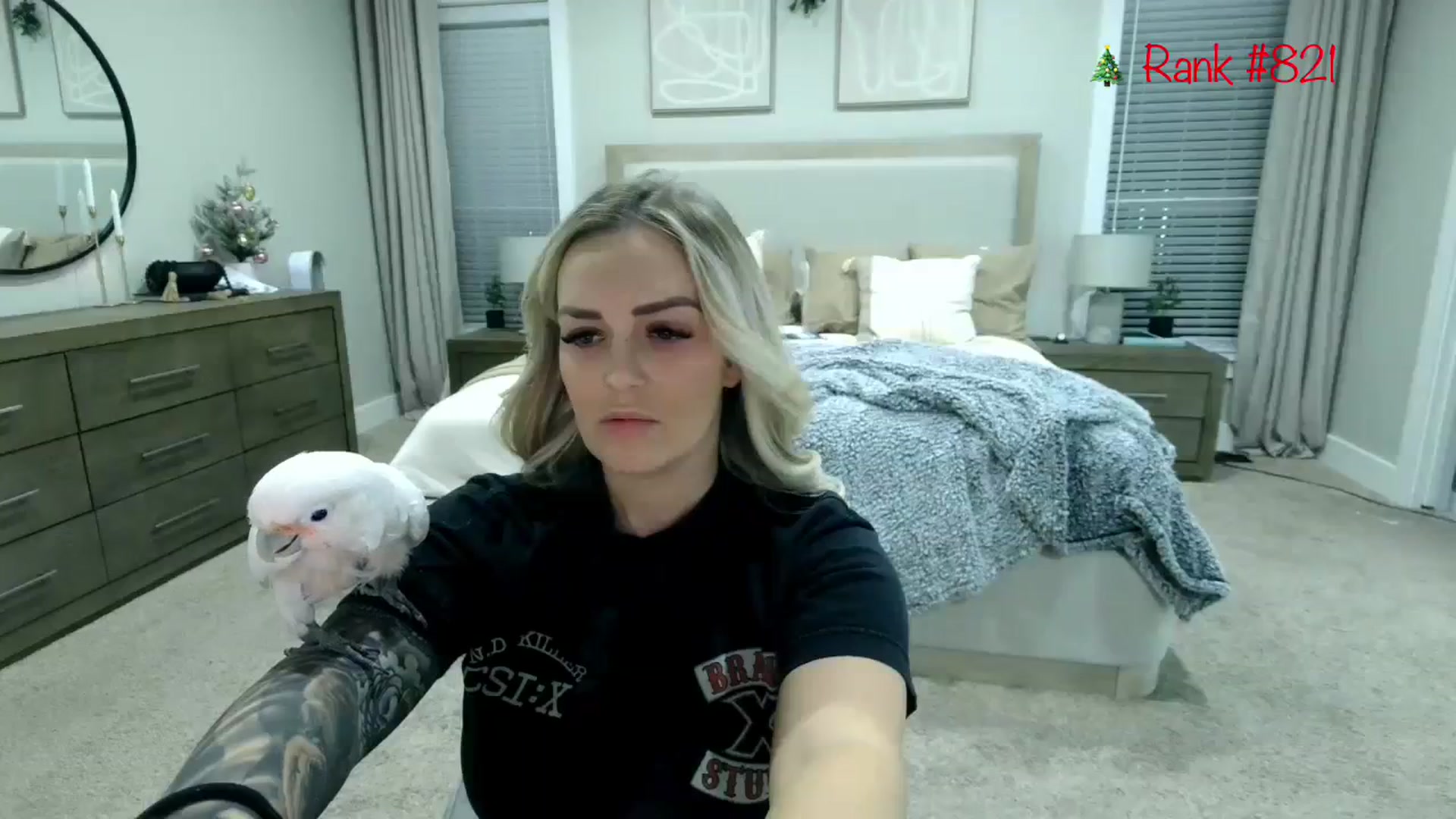Gallery image thumbnail from MsCheeks's myfreecams stream on, 12/07/2023, 01:01 image 11 of 20