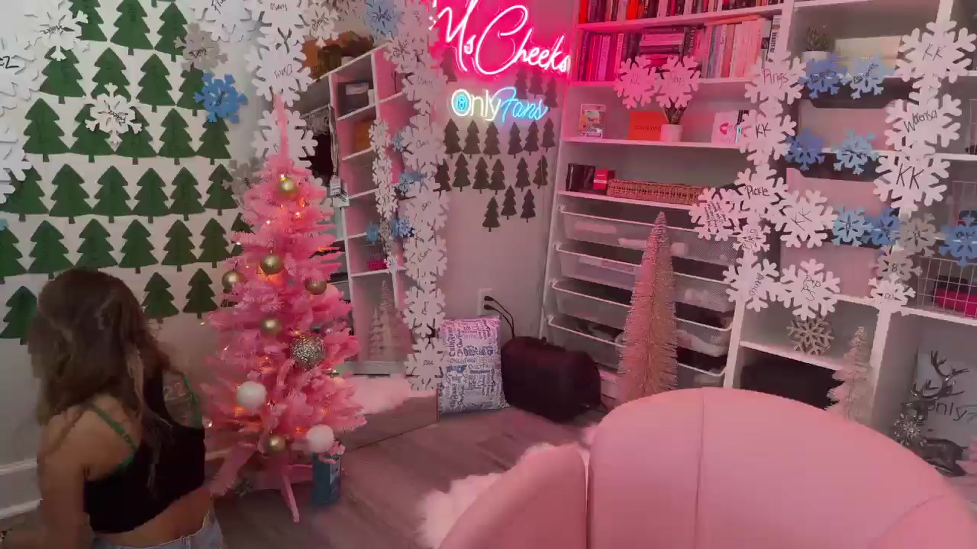 Gallery image thumbnail from MsCheeks's myfreecams stream on, 12/08/2024, 23:54 image 2 of 20