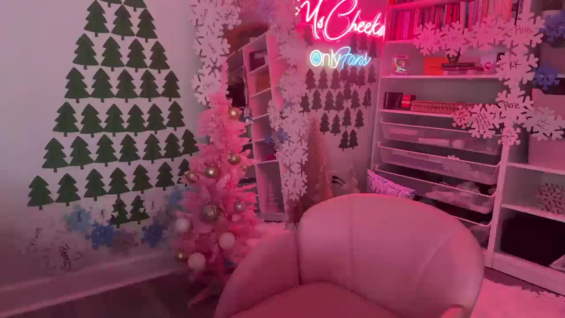 Gallery image thumbnail from MsCheeks's myfreecams stream on, 12/21/2024, 01:24 image 13 of 20