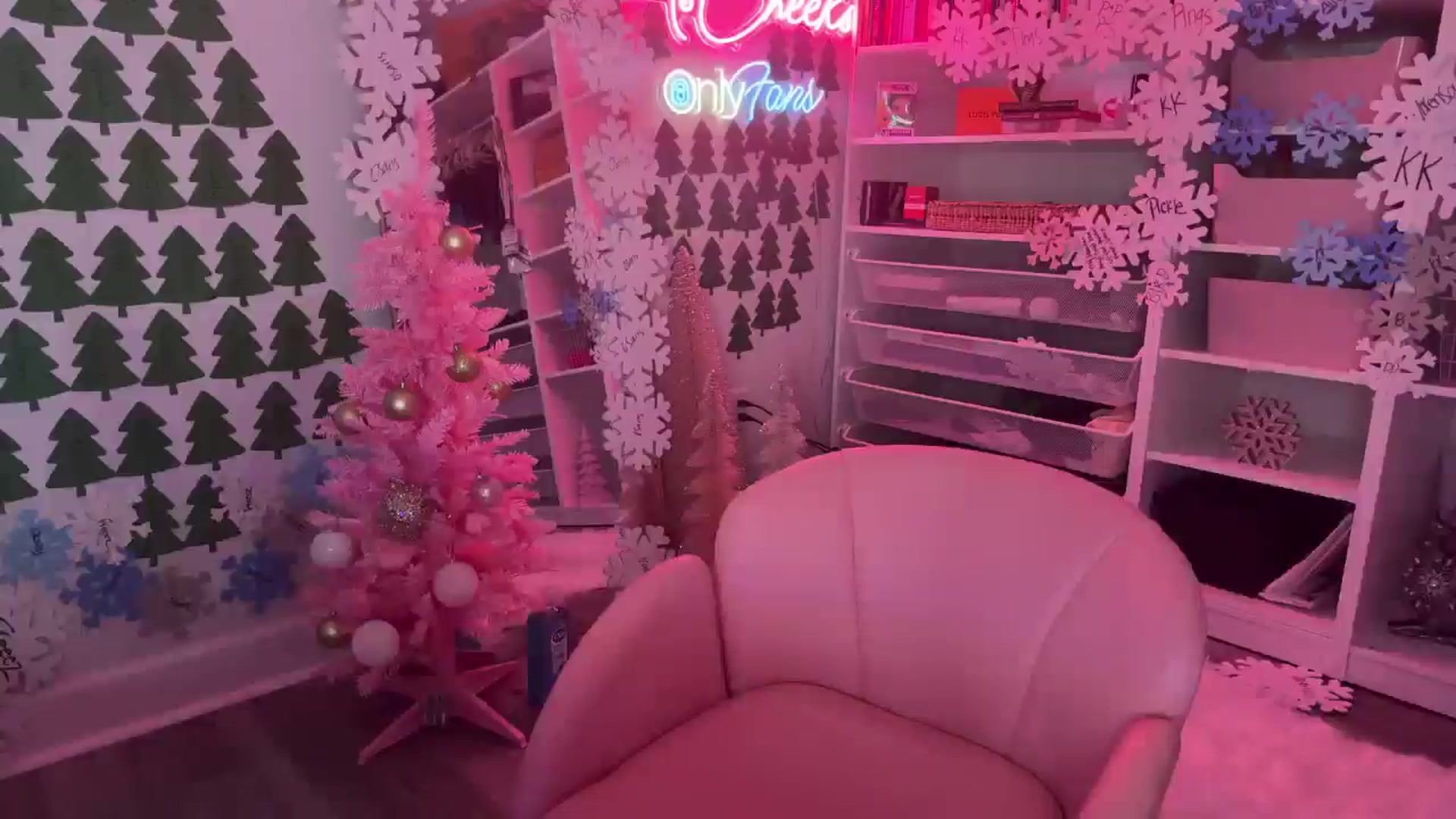 Gallery image thumbnail from MsCheeks's myfreecams stream on, 12/24/2024, 24:09 image 10 of 20