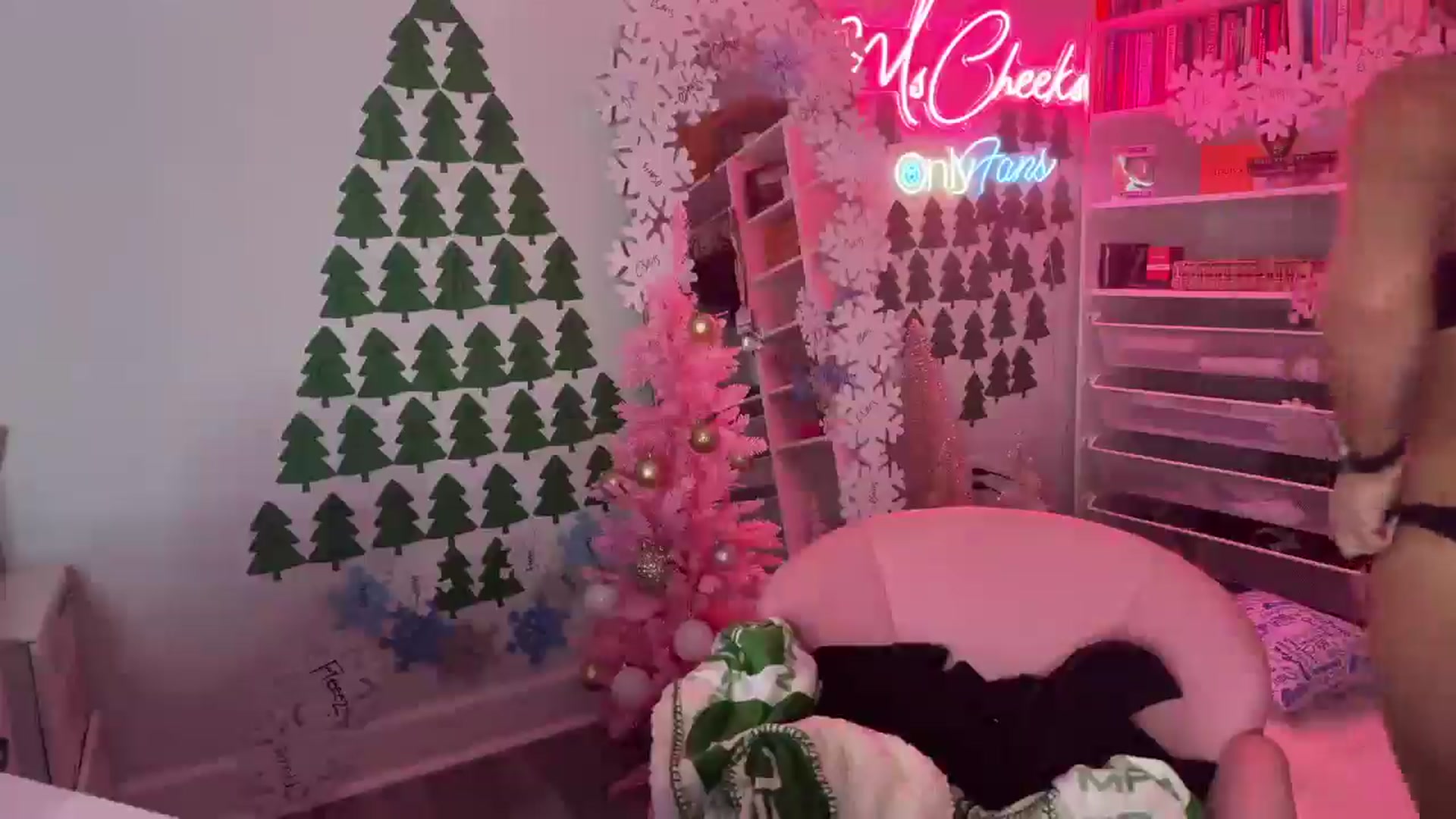 Gallery image thumbnail from MsCheeks's myfreecams stream on, 12/29/2024, 24:26 image 10 of 20