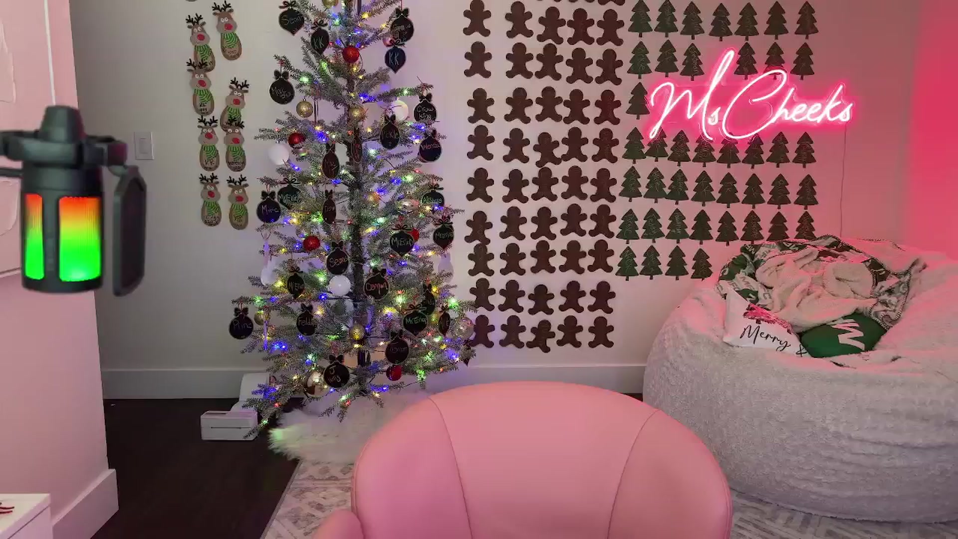 Gallery image thumbnail from MsCheeks's myfreecams stream on, 12/24/2025, 22:32 image 12 of 20