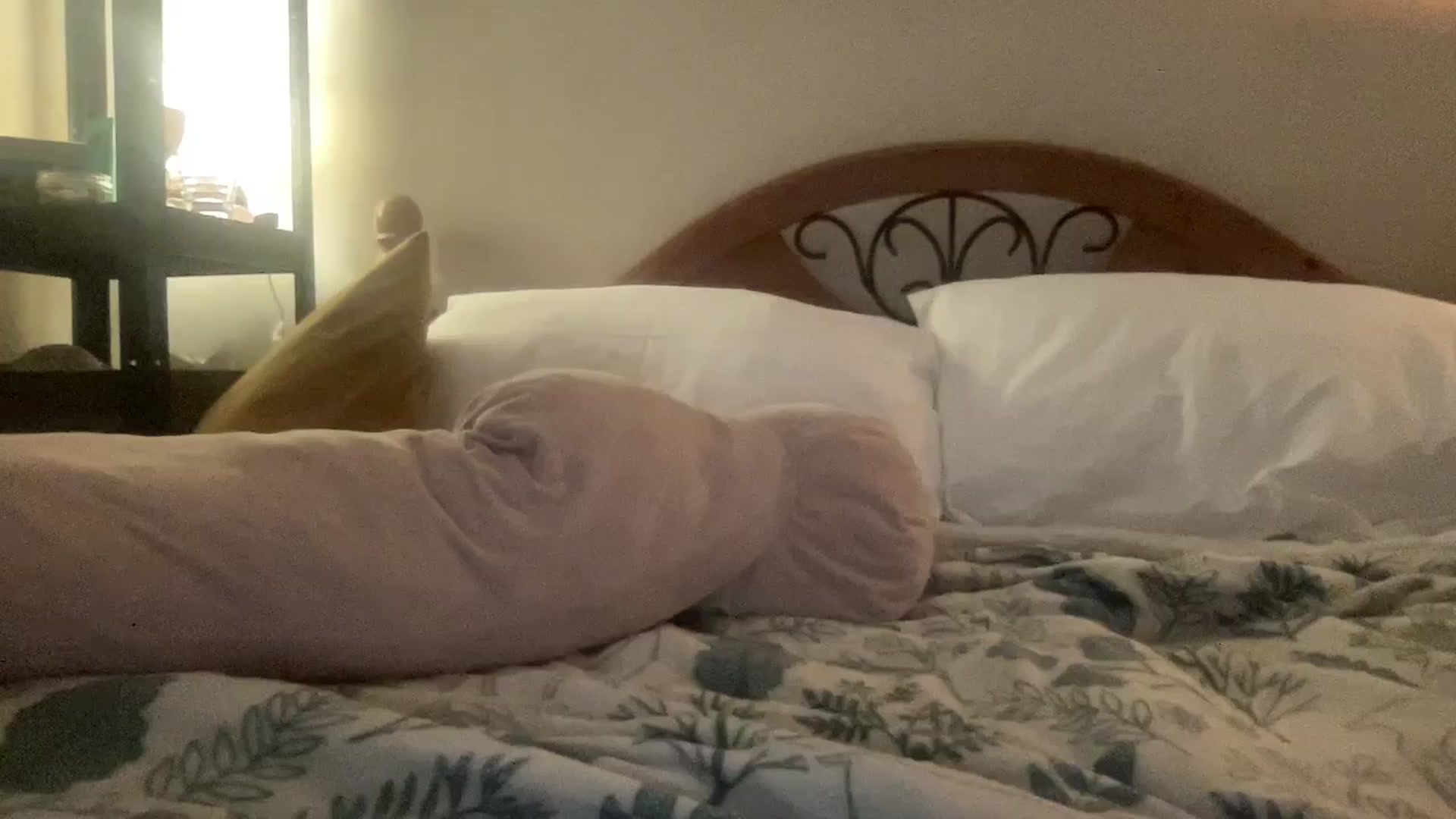 Gallery image thumbnail from MsFunCurious's myfreecams stream on, 02/21/2026, 09:21 image 16 of 20