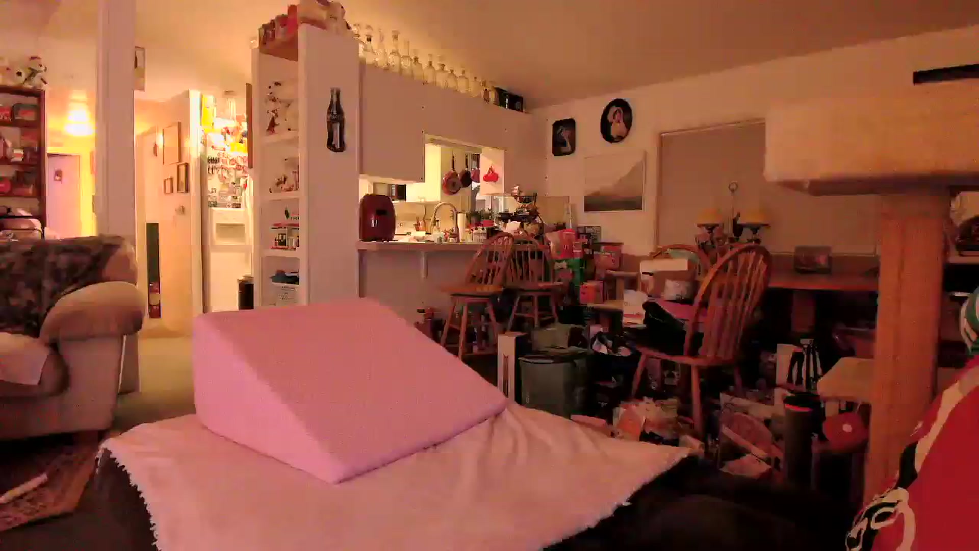 Gallery image thumbnail from MsGrumpyCunt's myfreecams stream on, 03/26/2024, 03:47 image 20 of 20