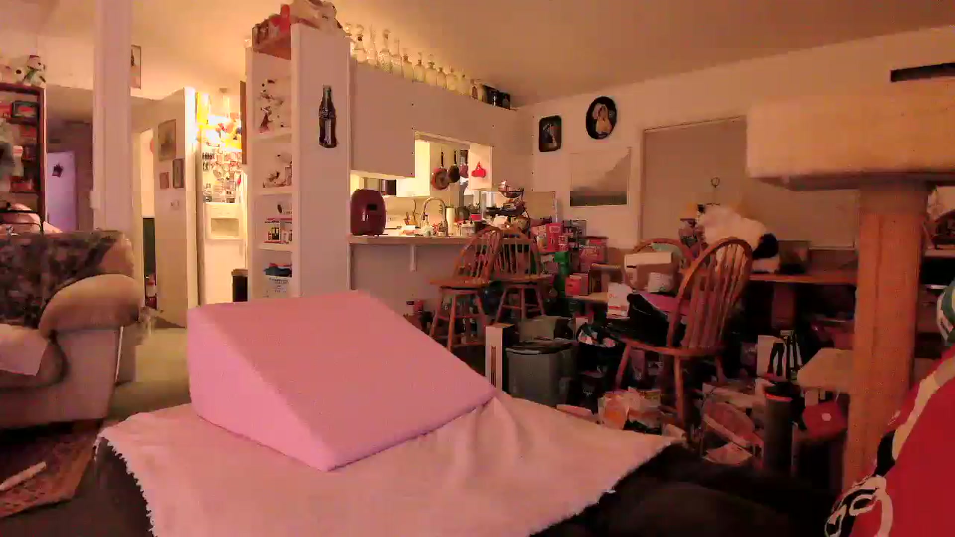 Gallery image thumbnail from MsGrumpyCunt's myfreecams stream on, 03/26/2024, 03:47 image 19 of 20