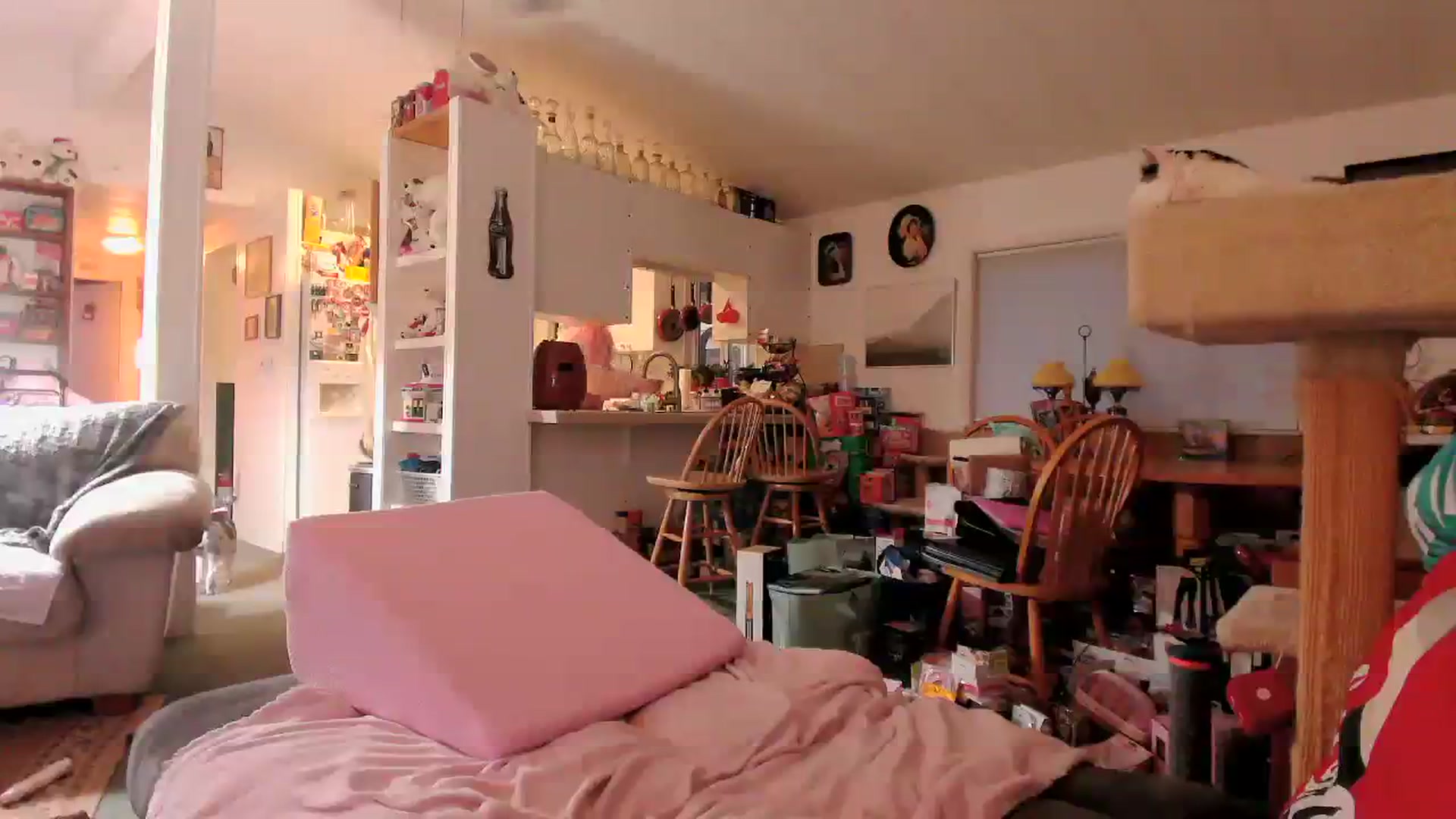Gallery image thumbnail from MsGrumpyCunt's myfreecams stream on, 03/26/2024, 03:47 image 2 of 20