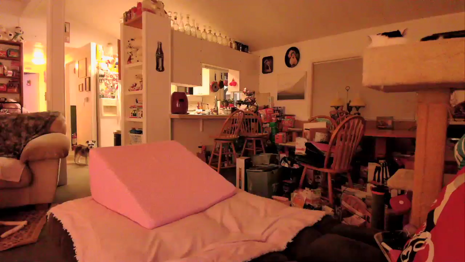 Gallery image thumbnail from MsGrumpyCunt's myfreecams stream on, 03/26/2024, 04:21 image 1 of 20