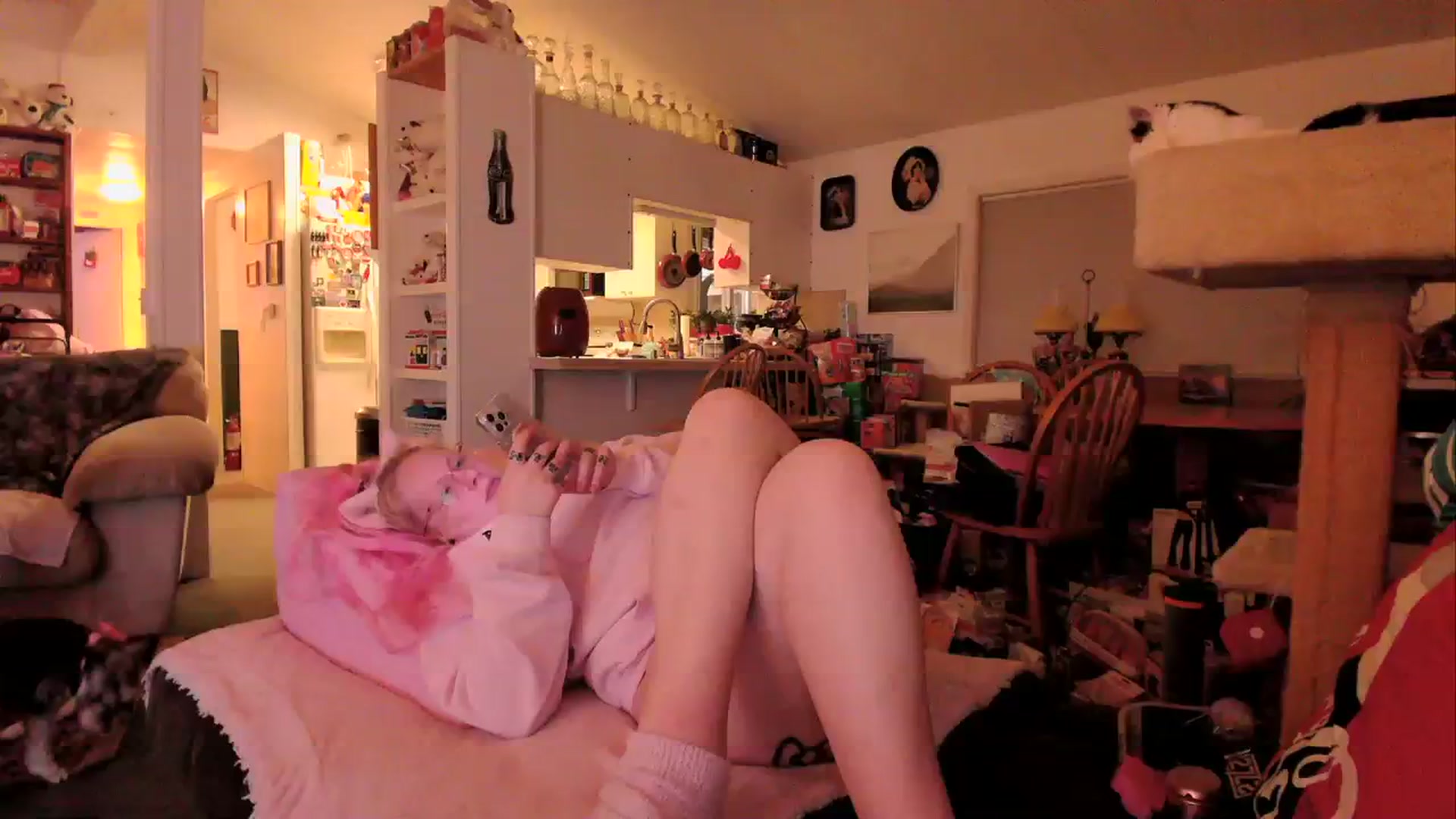 Gallery image thumbnail from MsGrumpyCunt's myfreecams stream on, 03/26/2024, 04:21 image 16 of 20