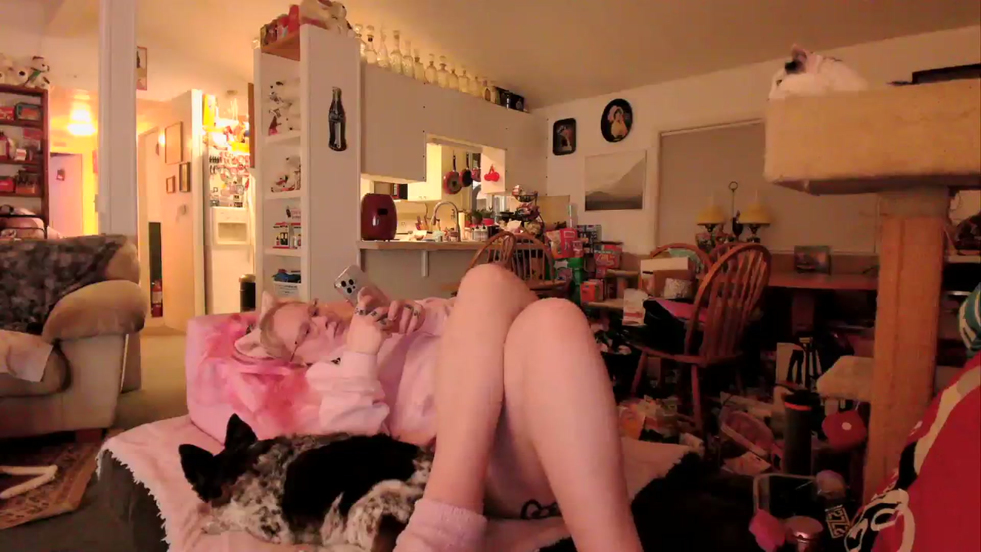Gallery image thumbnail from MsGrumpyCunt's myfreecams stream on, 03/26/2024, 04:21 image 18 of 20