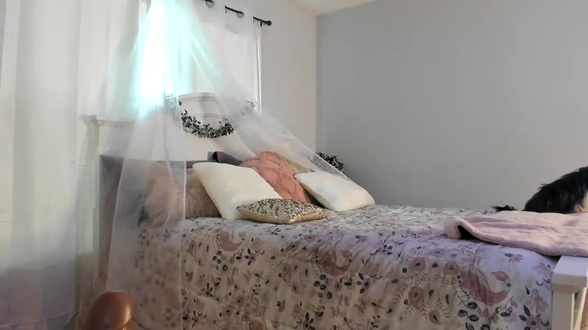 Gallery image thumbnail from MsMarilyn's myfreecams stream on, 11/15/2022, 18:40 image 20 of 20