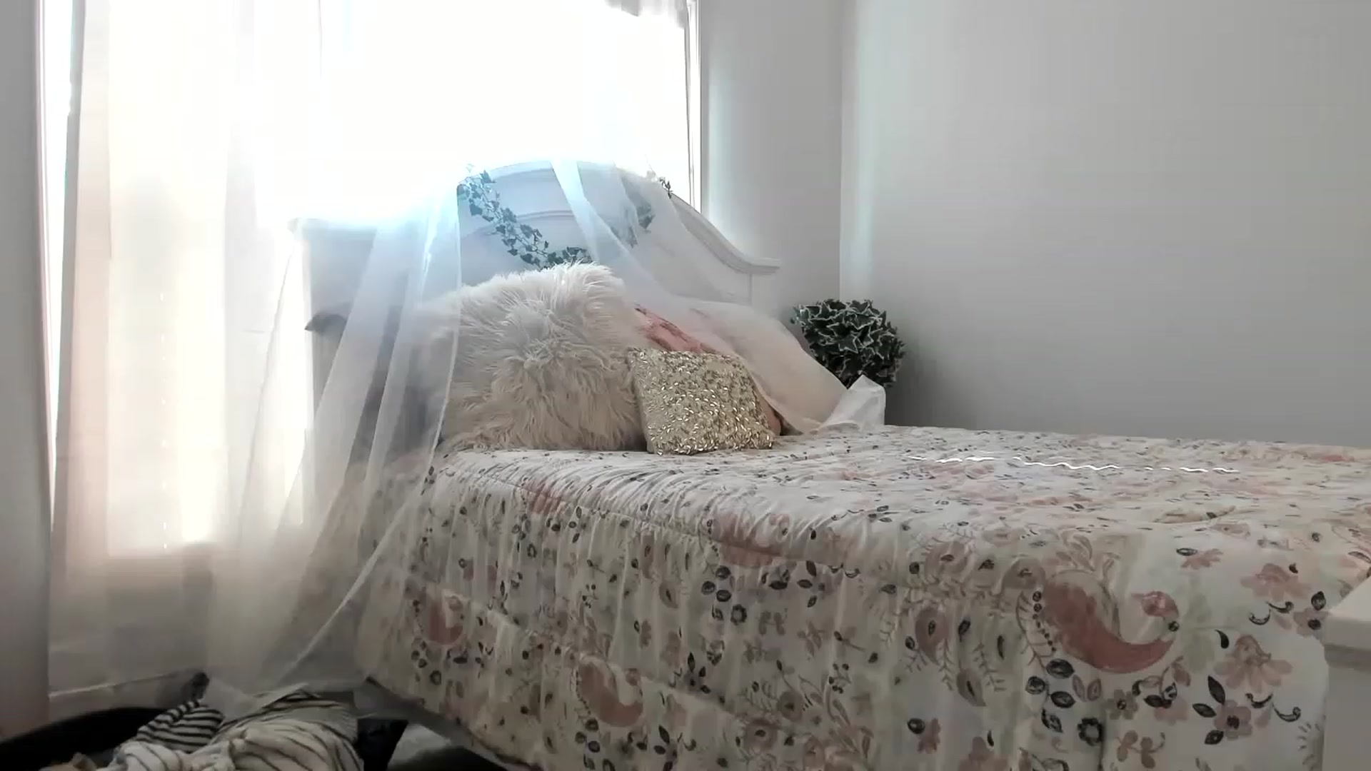Gallery image thumbnail from MsMarilyn's myfreecams stream on, 11/23/2022, 18:05 image 2 of 20