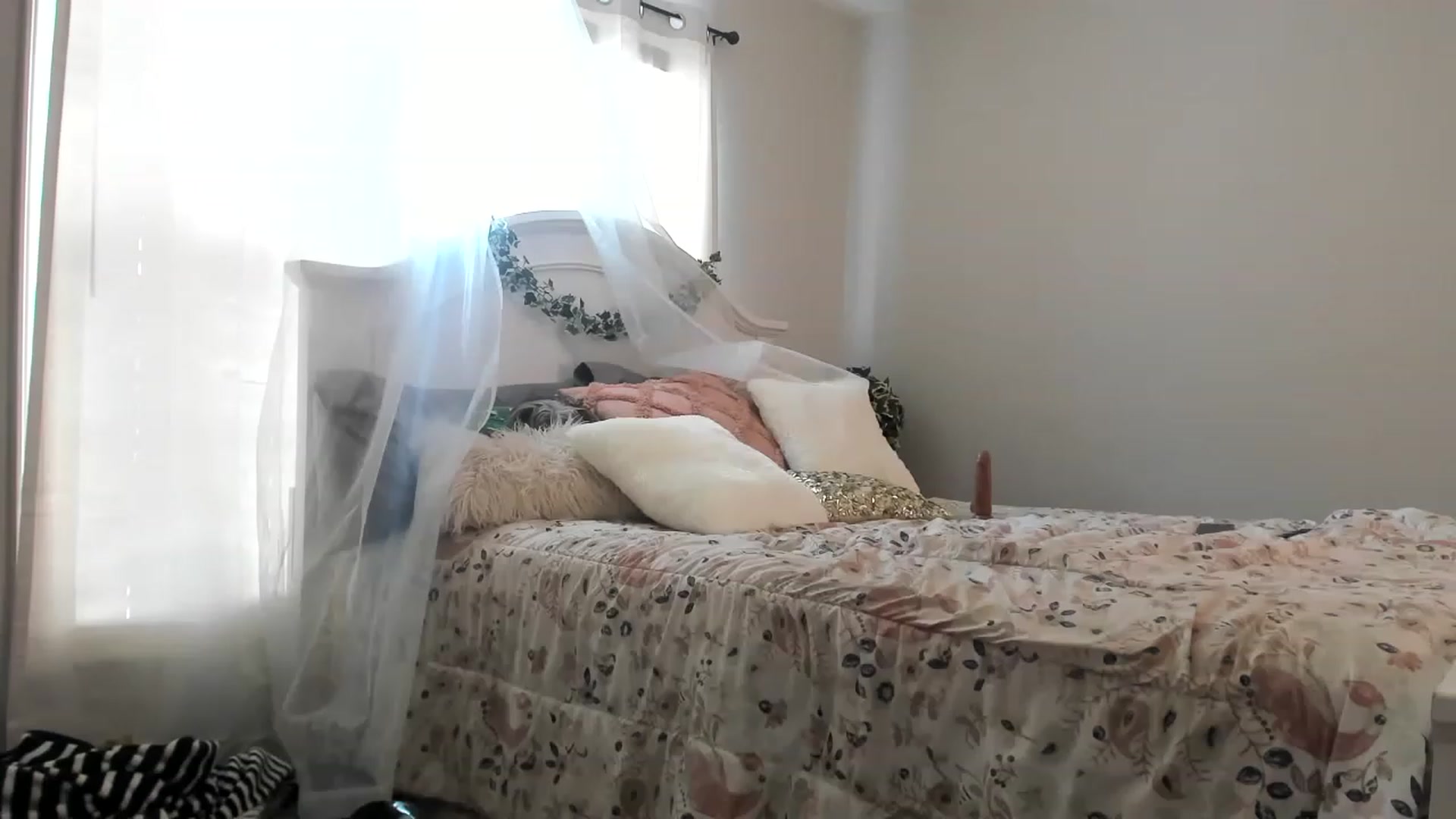 Gallery image thumbnail from MsMarilyn's myfreecams stream on, 12/02/2022, 18:44 image 19 of 20