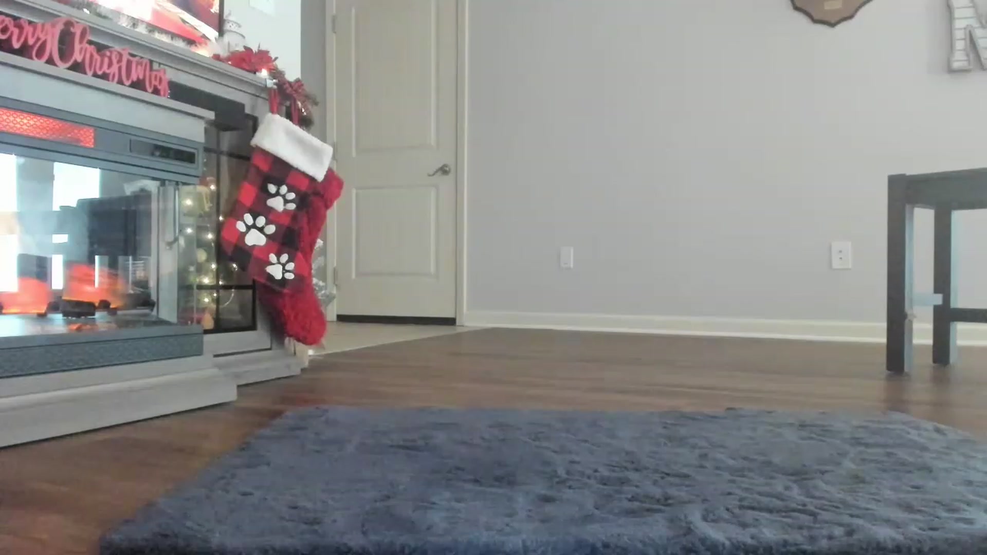 Gallery image thumbnail from MsMarilyn's myfreecams stream on, 12/20/2022, 18:54 image 17 of 20