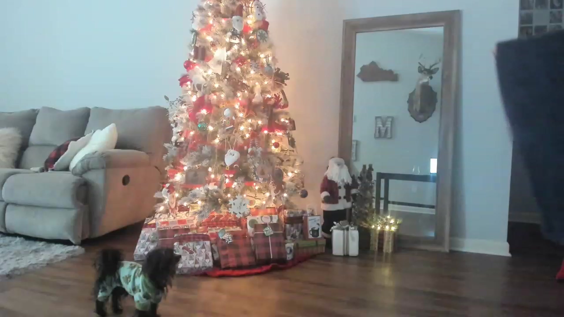 Gallery image thumbnail from MsMarilyn's myfreecams stream on, 12/20/2022, 18:54 image 10 of 20