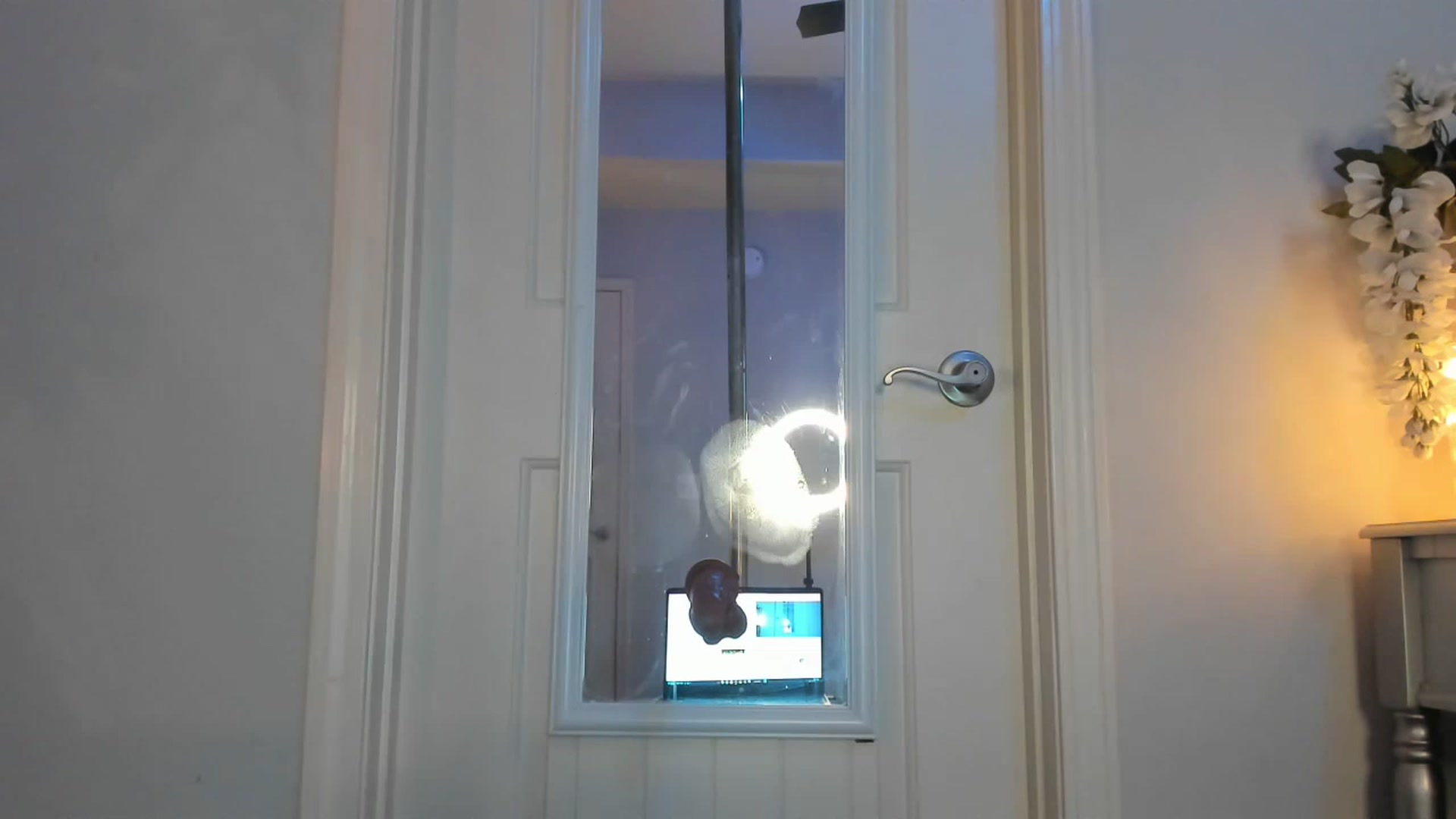 Gallery image thumbnail from MsMarilyn's myfreecams stream on, 01/03/2023, 20:24 image 15 of 20