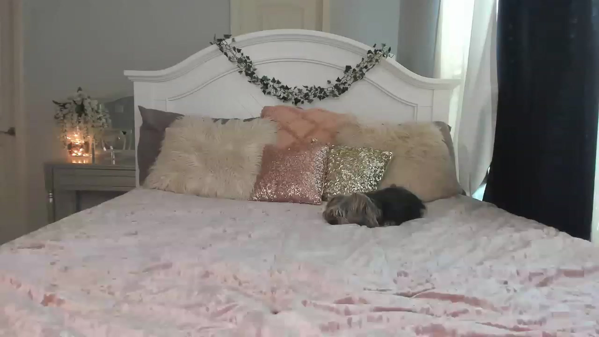 Gallery image thumbnail from MsMarilyn's myfreecams stream on, 02/27/2023, 22:29 image 13 of 20