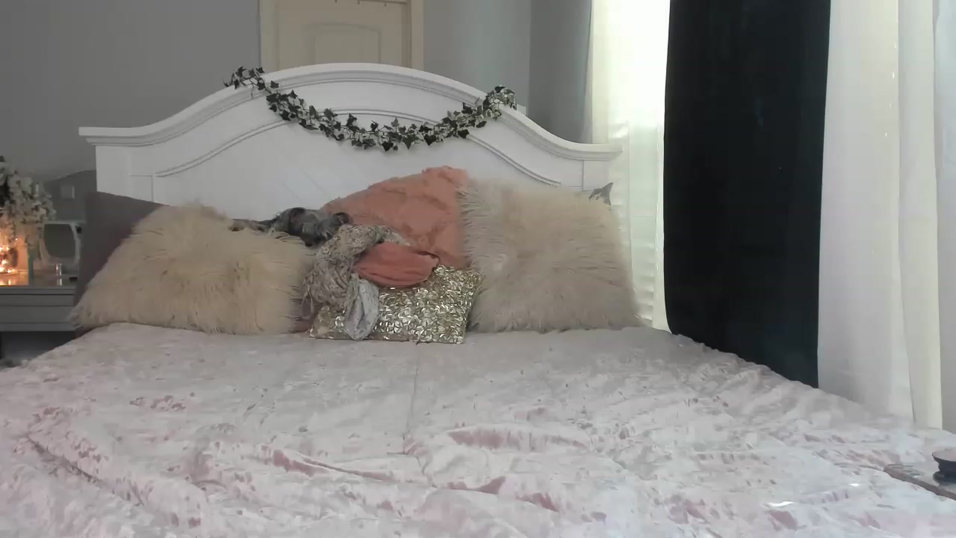 Gallery image thumbnail from MsMarilyn's myfreecams stream on, 03/01/2023, 17:57 image 18 of 20