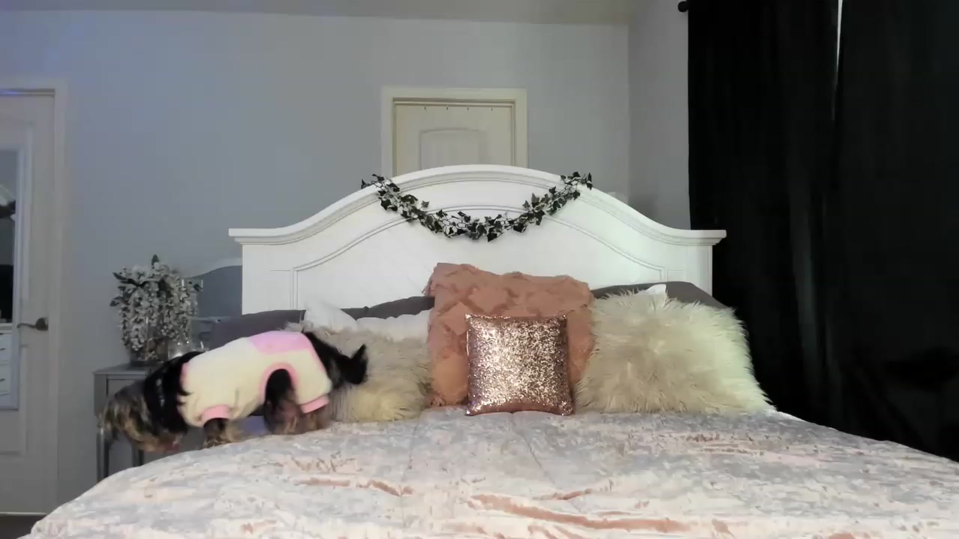 Gallery image thumbnail from MsMarilyn's myfreecams stream on, 03/14/2023, 20:42 image 9 of 20
