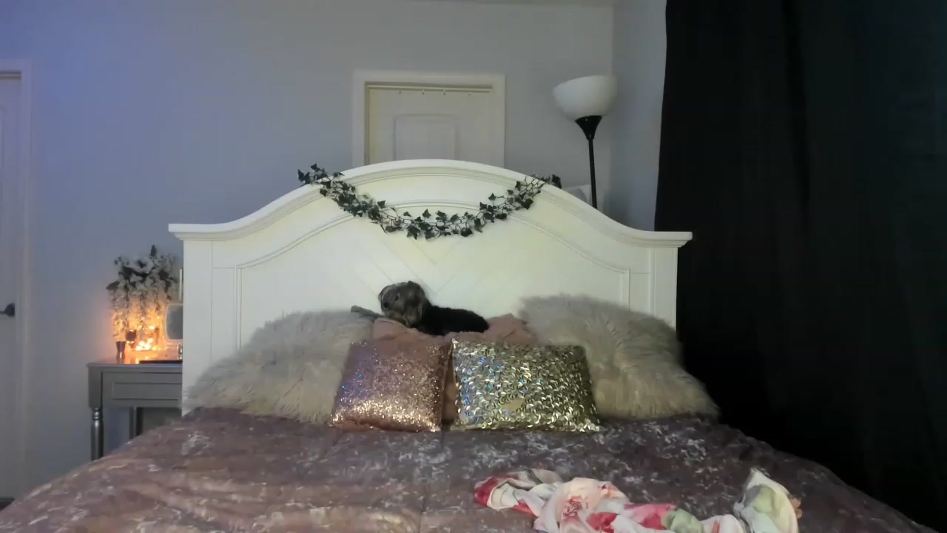 Gallery image thumbnail from MsMarilyn's myfreecams stream on, 04/22/2023, 18:13 image 10 of 20