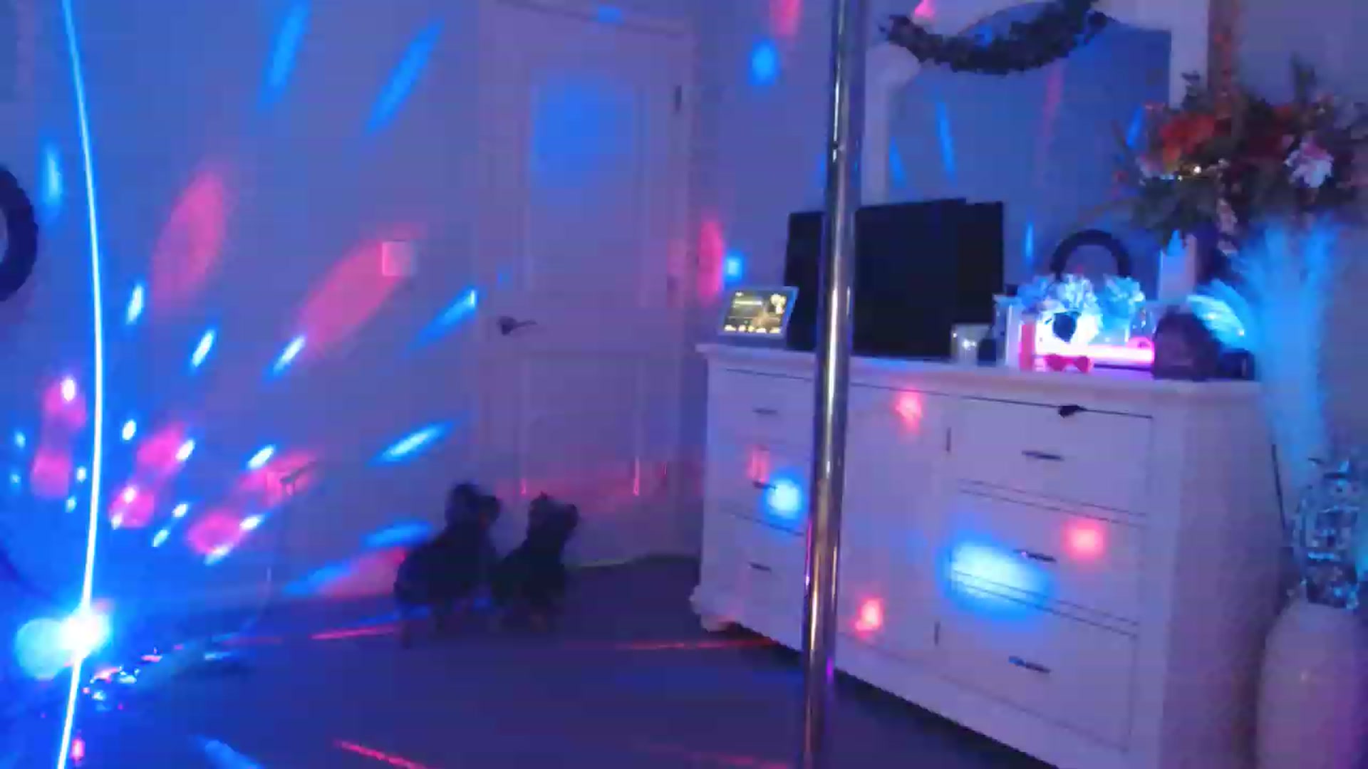 Gallery image thumbnail from MsMarilyn's myfreecams stream on, 07/17/2023, 23:30 image 7 of 20