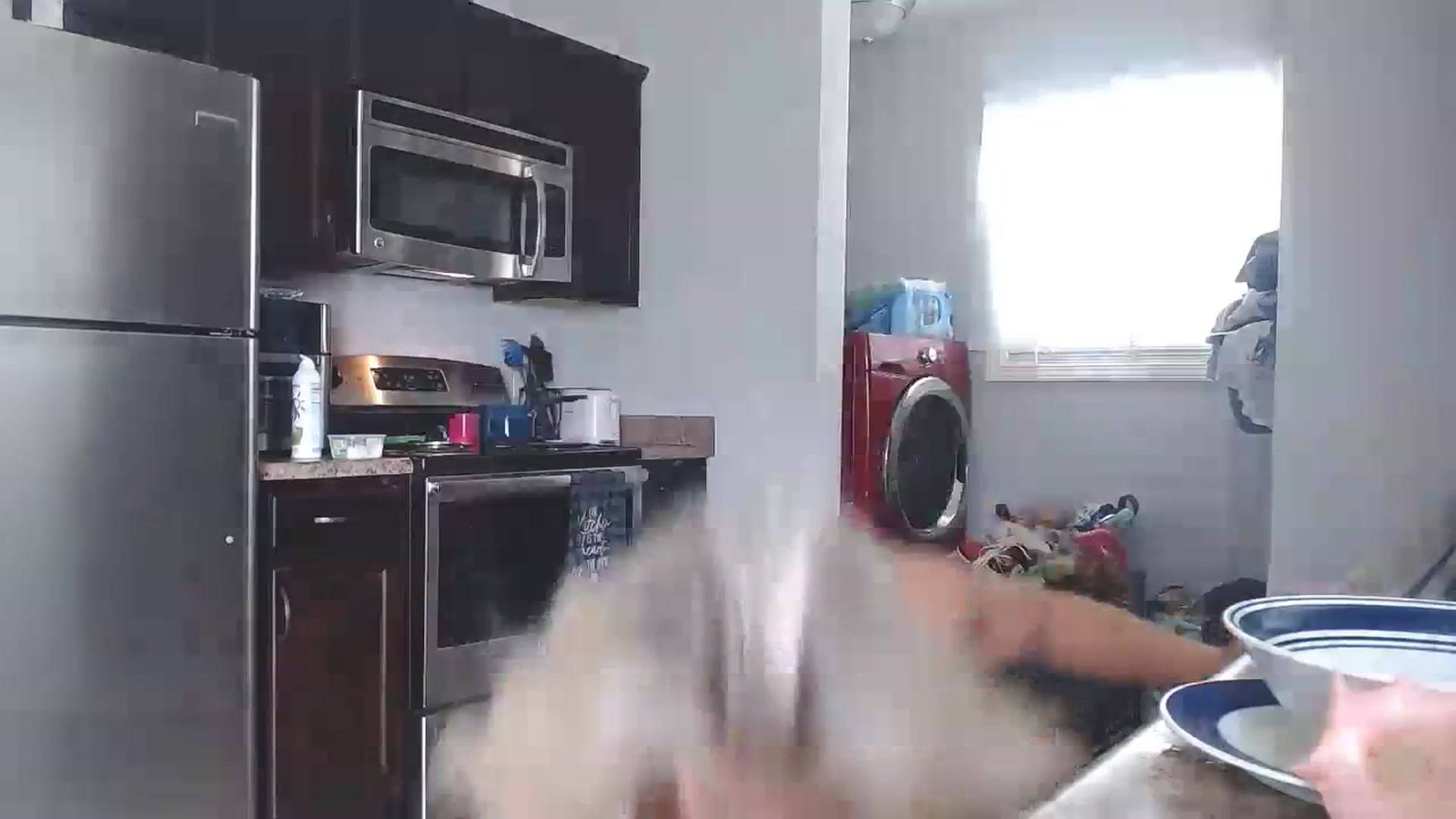 Gallery image thumbnail from MsMarilyn's myfreecams stream on, 08/16/2023, 19:45 image 18 of 20