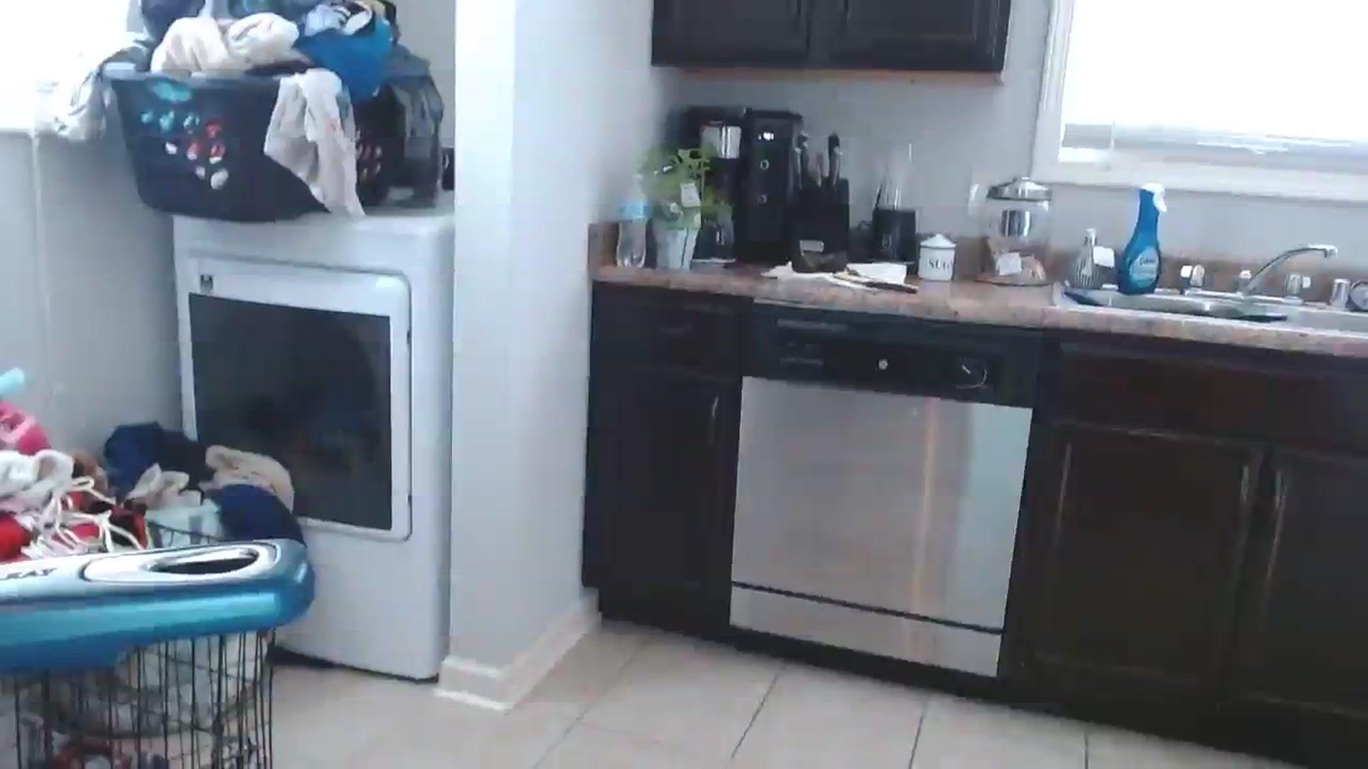 Gallery image thumbnail from MsMarilyn's myfreecams stream on, 08/16/2023, 19:45 image 8 of 20