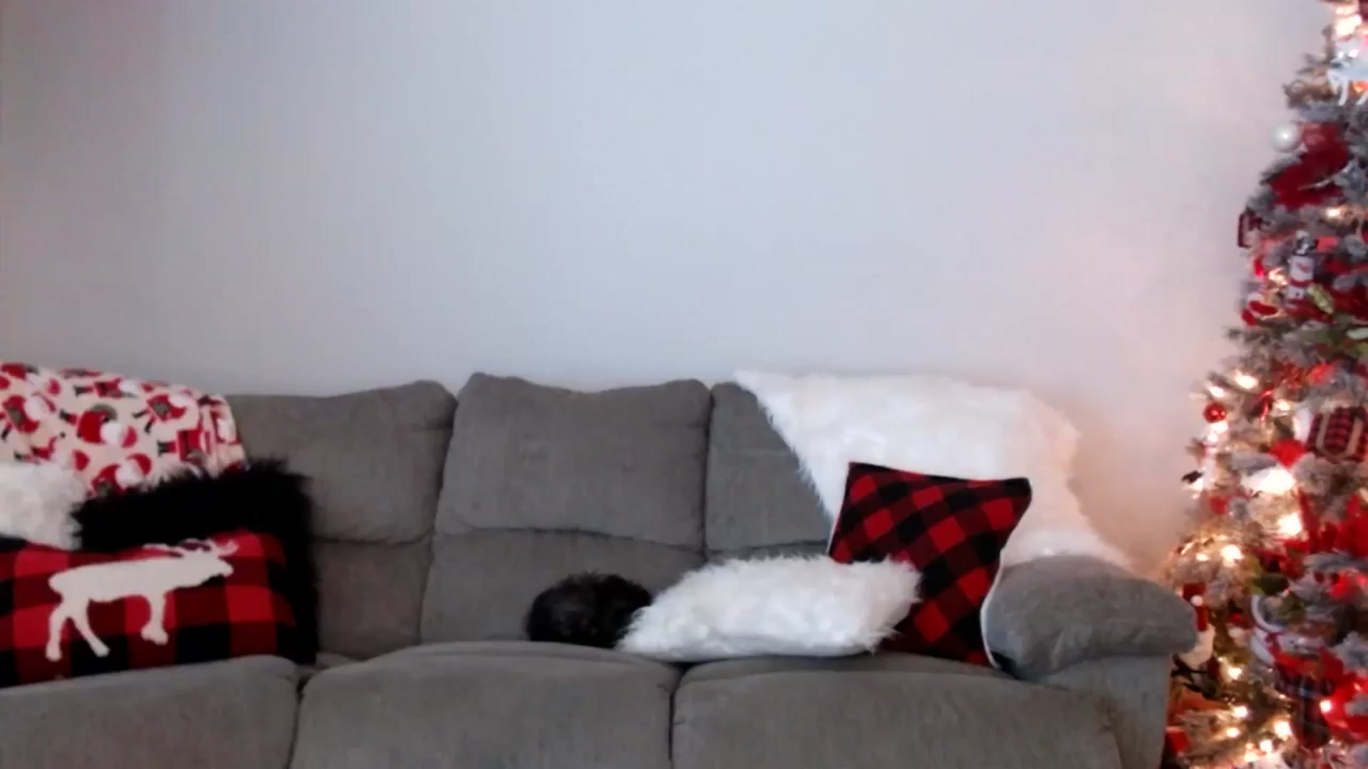 Gallery image thumbnail from MsMarilyn's myfreecams stream on, 12/12/2023, 19:41 image 6 of 20
