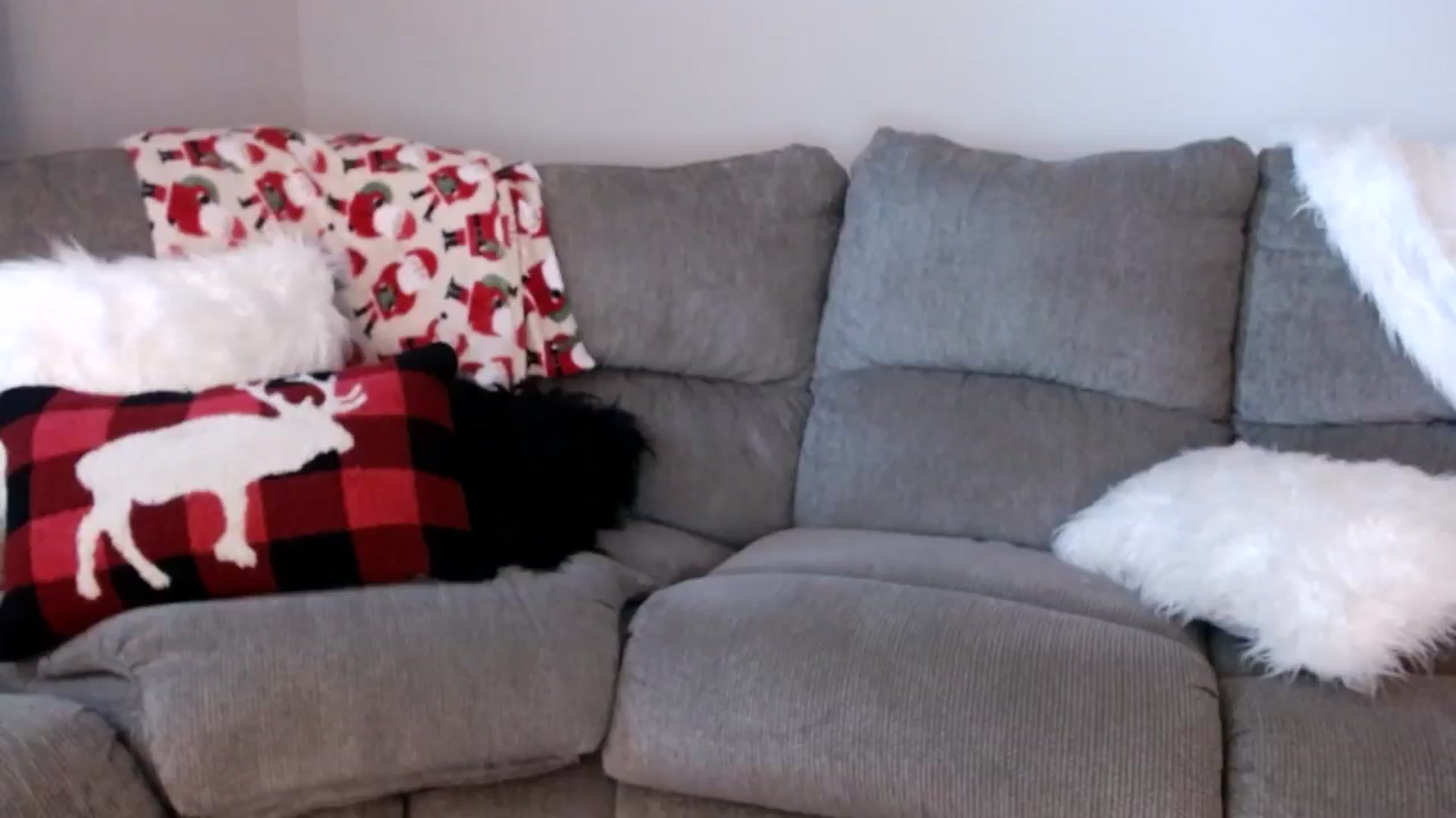 Gallery image thumbnail from MsMarilyn's myfreecams stream on, 12/12/2023, 20:37 image 4 of 20
