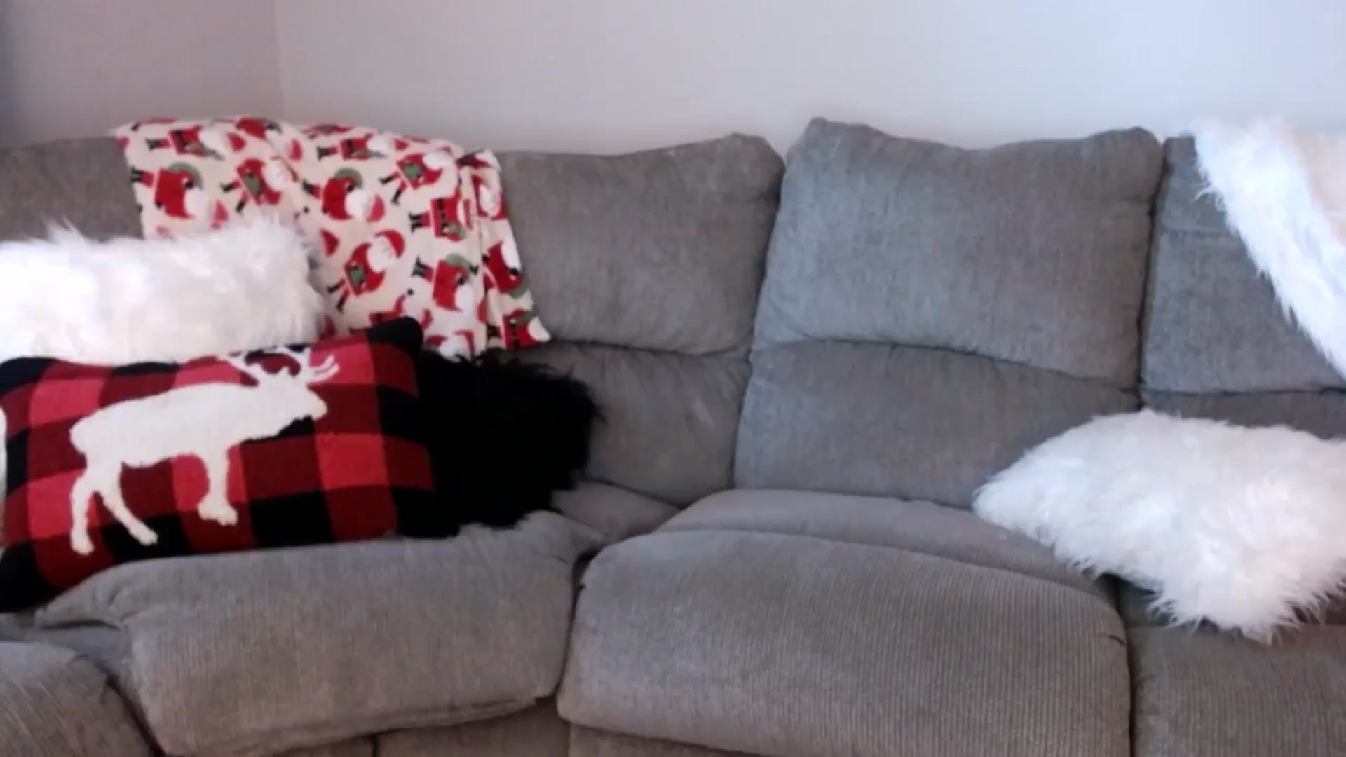 Gallery image thumbnail from MsMarilyn's myfreecams stream on, 12/12/2023, 20:37 image 5 of 20