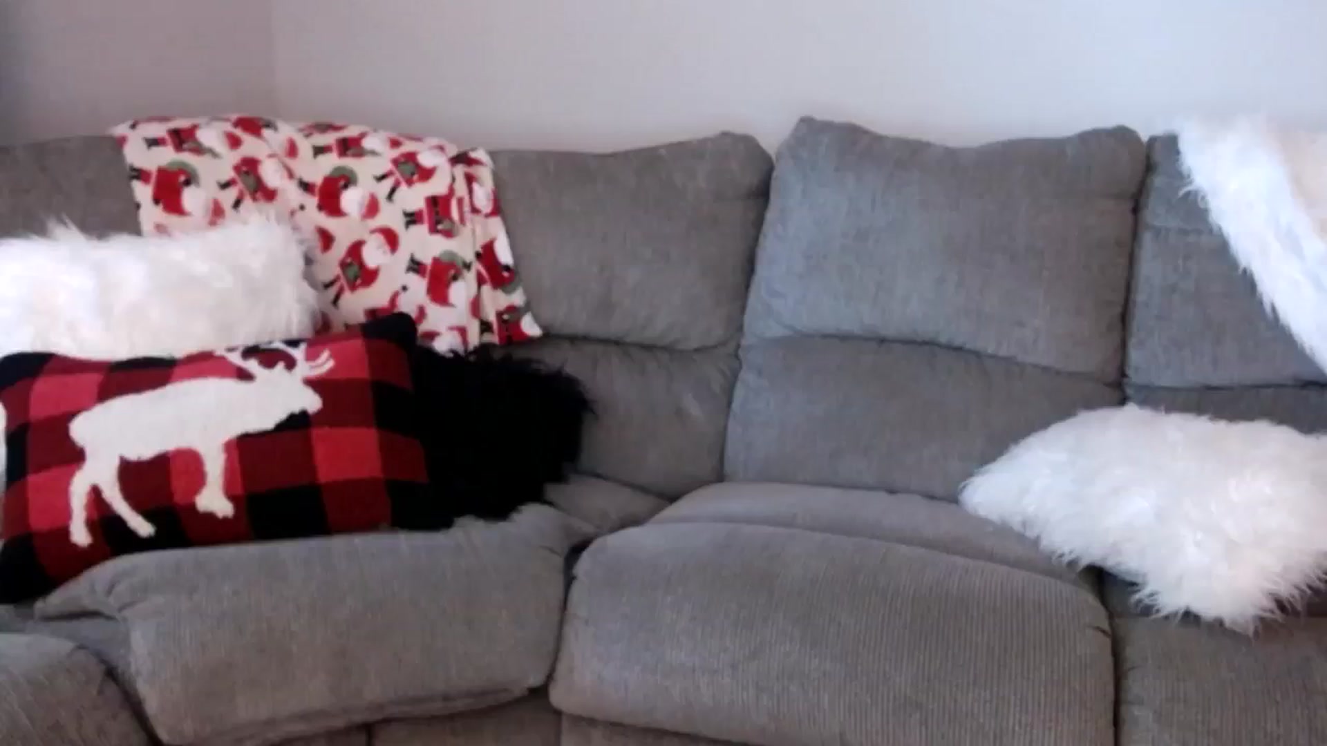 Gallery image thumbnail from MsMarilyn's myfreecams stream on, 12/12/2023, 20:37 image 11 of 20