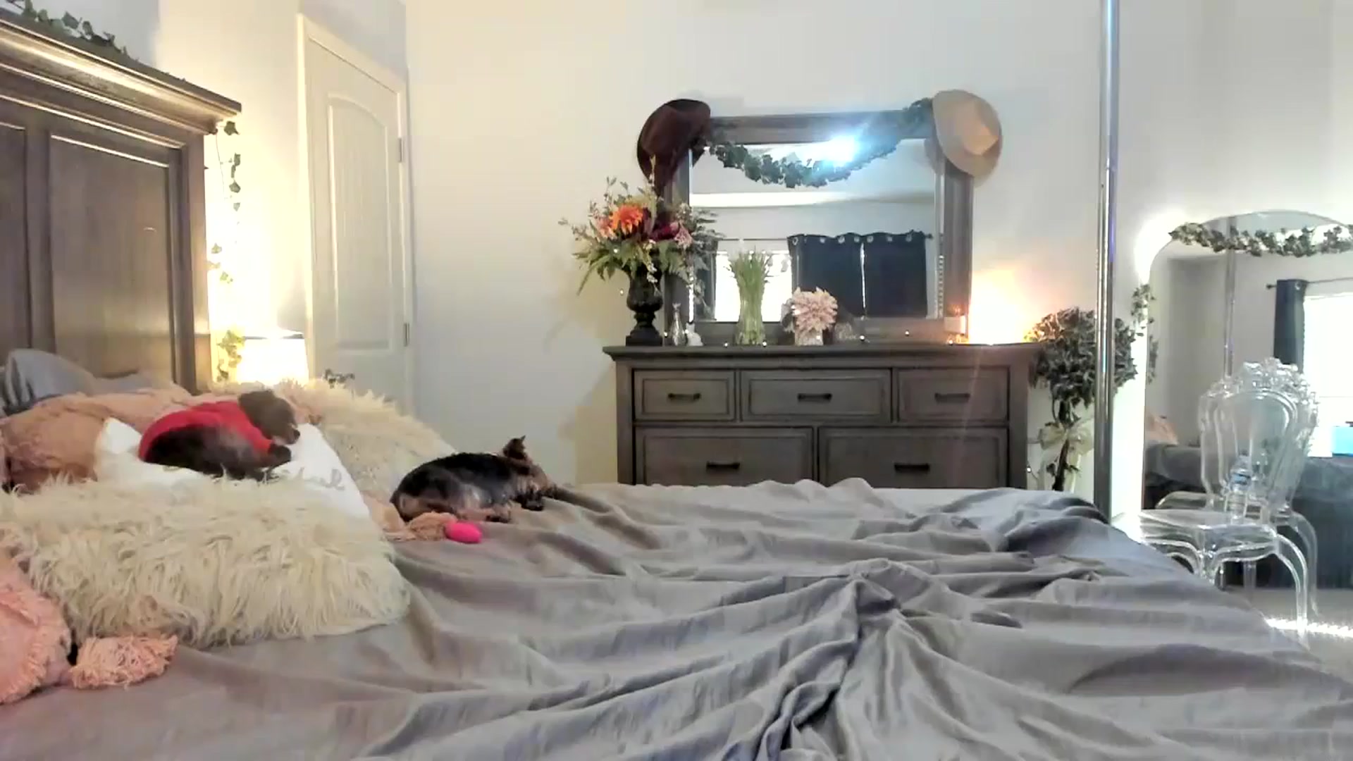 Gallery image thumbnail from MsMarilyn's myfreecams stream on, 02/02/2024, 22:45 image 9 of 20