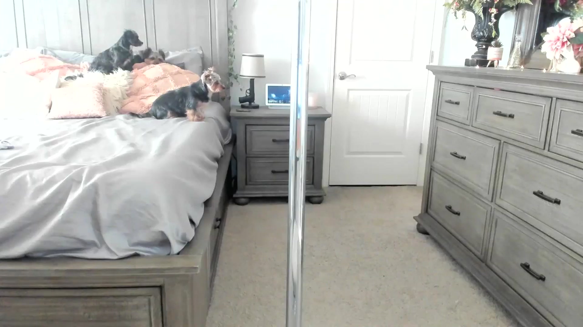 Gallery image thumbnail from MsMarilyn's myfreecams stream on, 02/19/2024, 20:19 image 13 of 20
