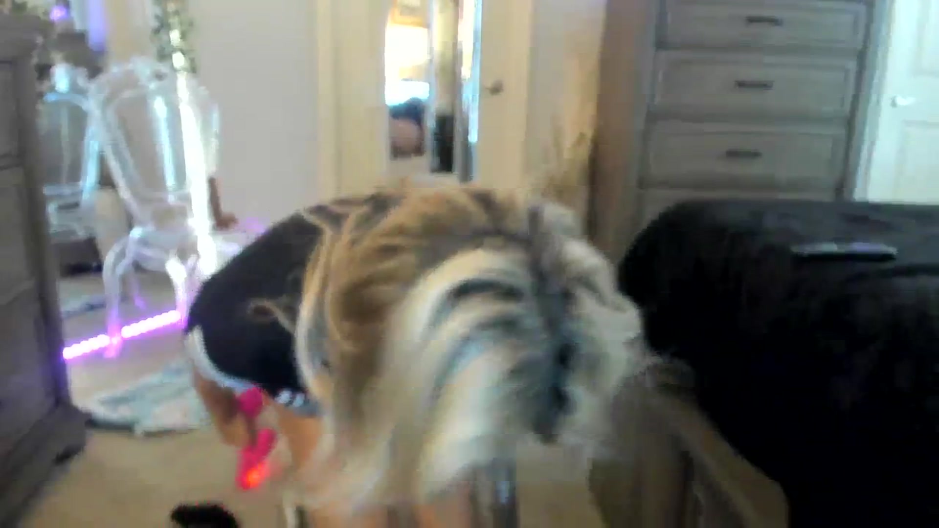 Gallery image thumbnail from MsMarilyn's myfreecams stream on, 03/13/2024, 17:55 image 16 of 20