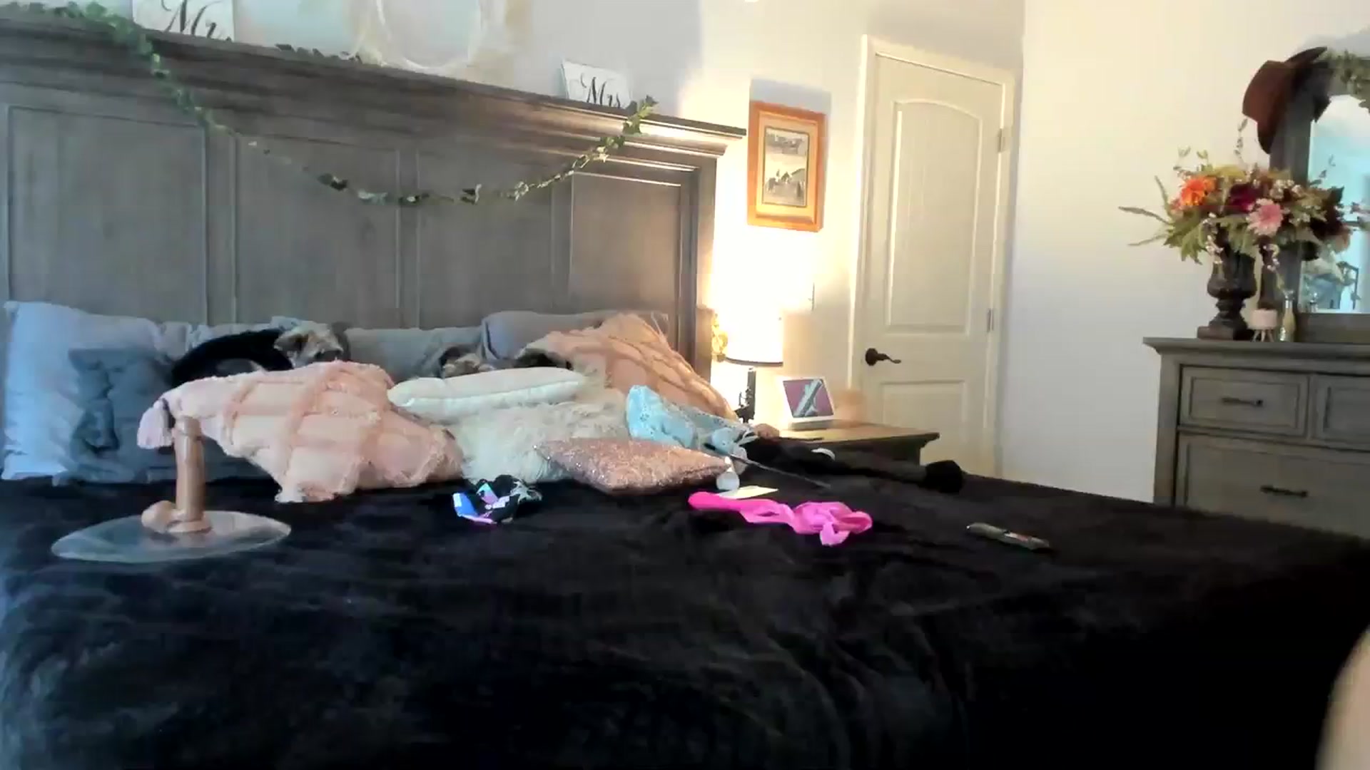 Gallery image thumbnail from MsMarilyn's myfreecams stream on, 04/13/2024, 16:39 image 1 of 20